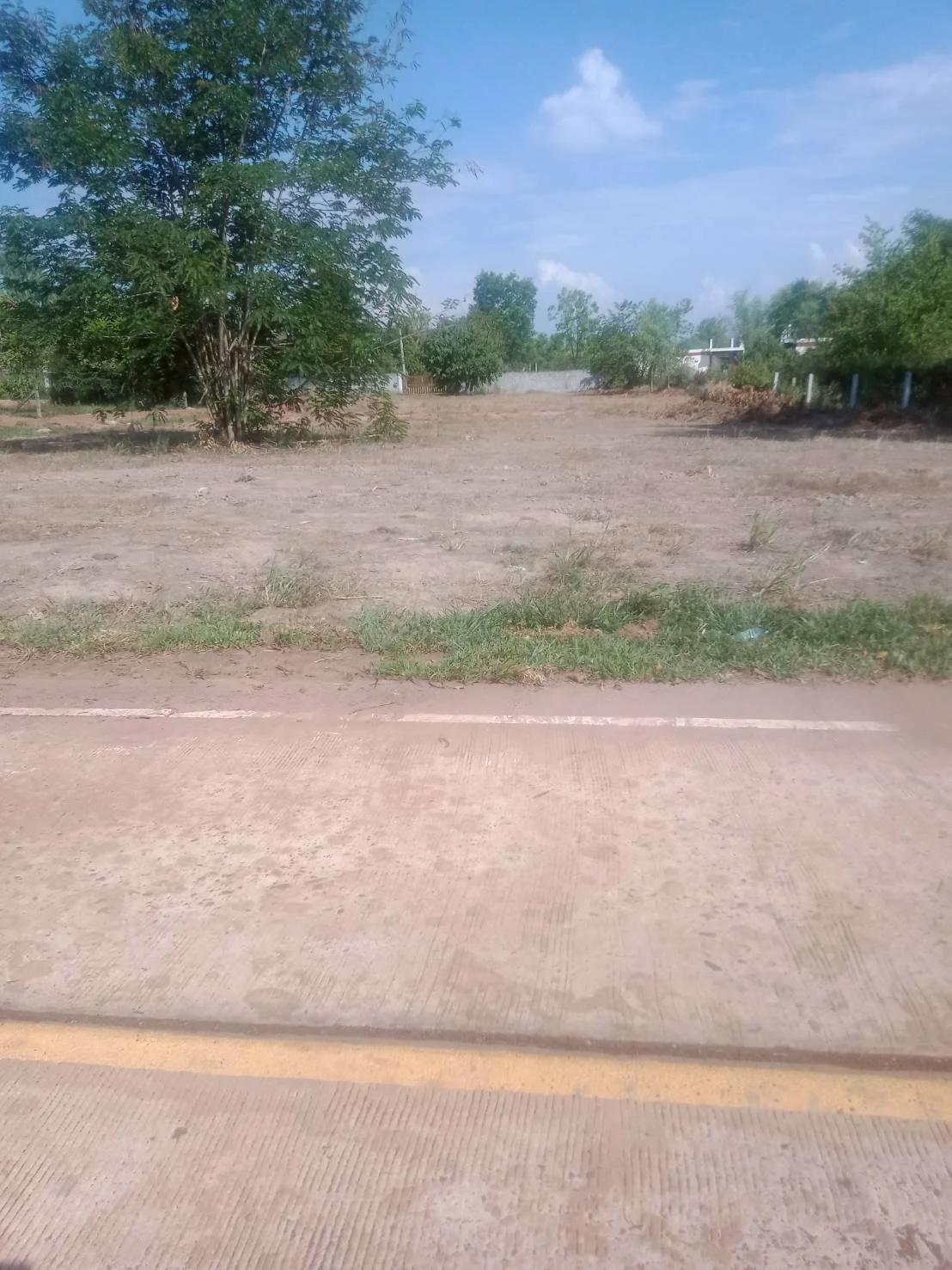 ที่ดินติดถนน 2 ด้าน ทำเลดี ใกล้วัดเทพวังทอง 1 ไร่ - image 3
