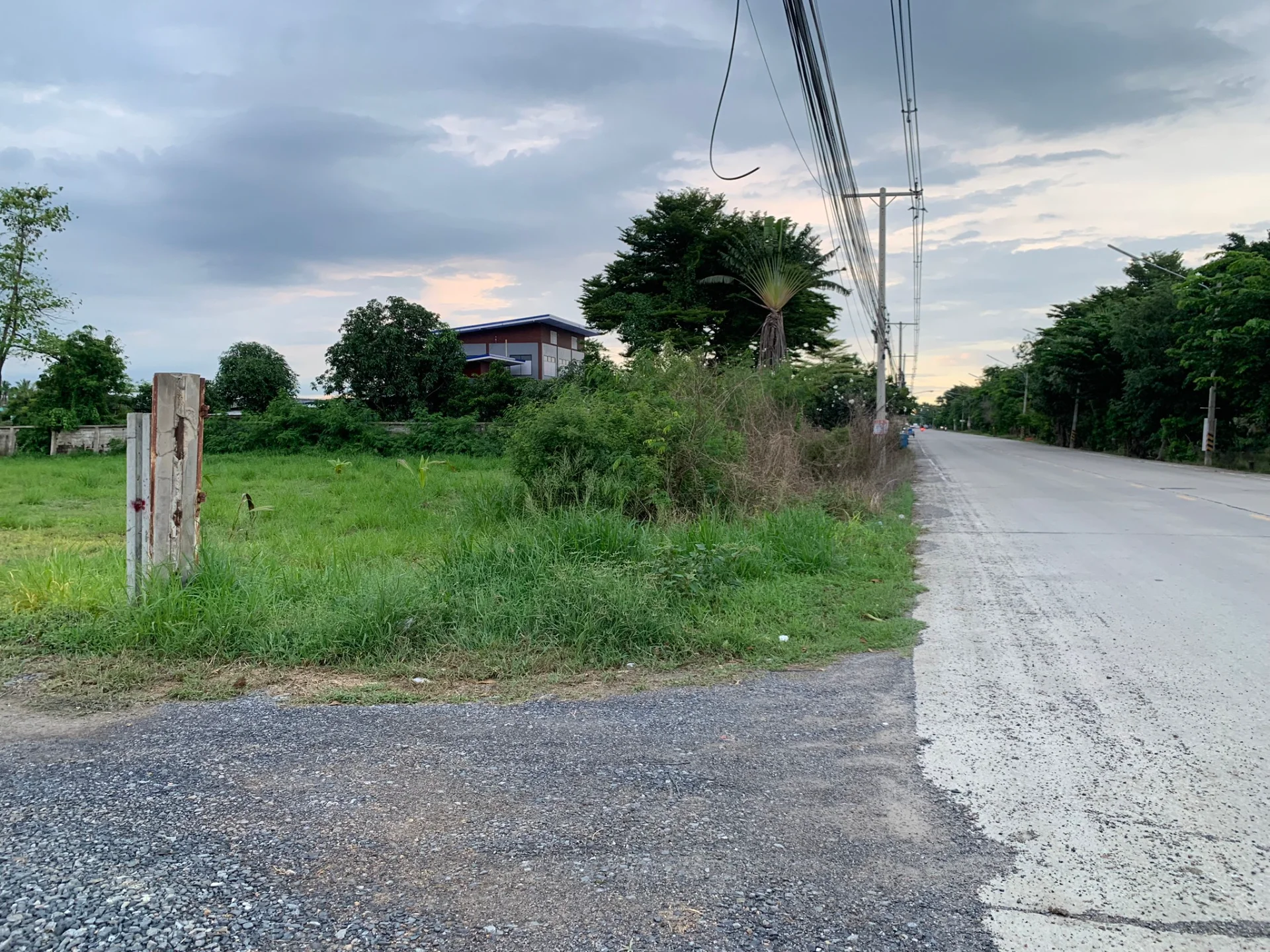 ขายที่ดินสวยมาก ถมแล้ว ติดถนนเรียบคลองสาม ปทุมธานี เหมาะสร้างบ้าน ทำธุรกิจ หรือสร้างโครงการ พัฒนาต่อยอดได้ - image 5