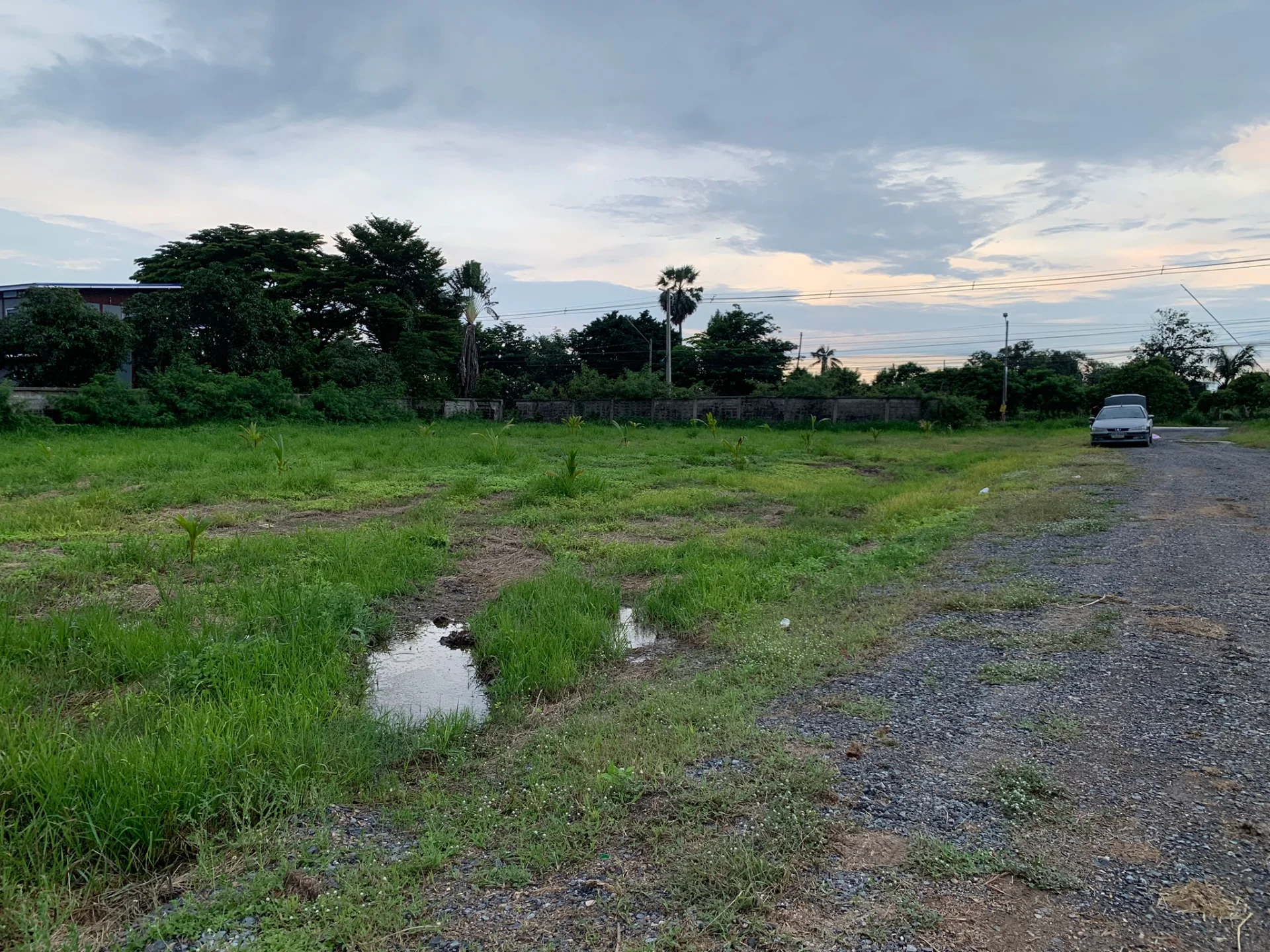 ขายที่ดินสวยมาก ถมแล้ว ติดถนนเรียบคลองสาม ปทุมธานี เหมาะสร้างบ้าน ทำธุรกิจ หรือสร้างโครงการ พัฒนาต่อยอดได้ - image 7