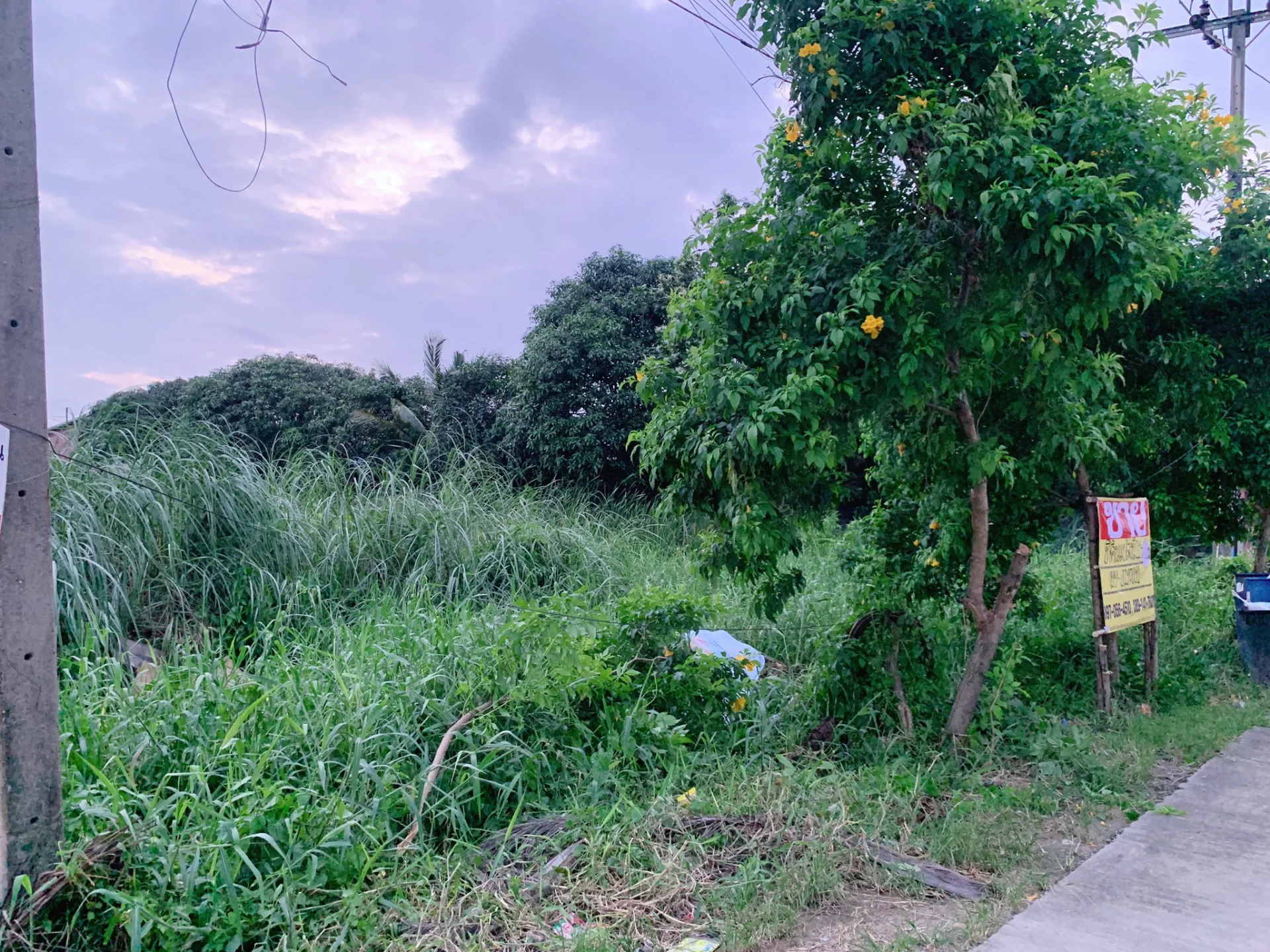 ขายที่ดินสวย 219 ตร.วา สุวินทวงศ์36 เหมาะสร้างบ้าน อพาร์ทเม้นท์ เงียบสงบ บรรยากาศดี - image 6