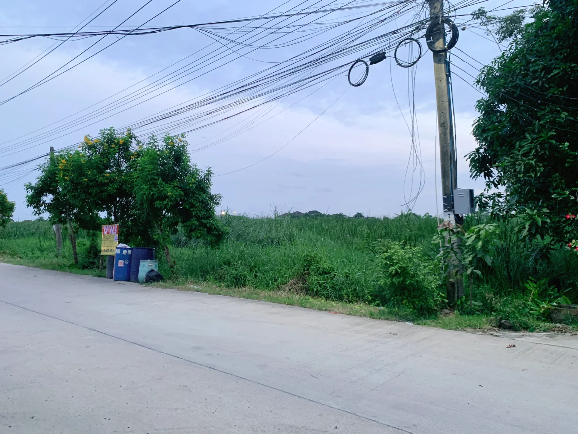 ขายที่ดินสวย 219 ตร.วา สุวินทวงศ์36 เหมาะสร้างบ้าน อพาร์ทเม้นท์ เงียบสงบ บรรยากาศดี - image 7