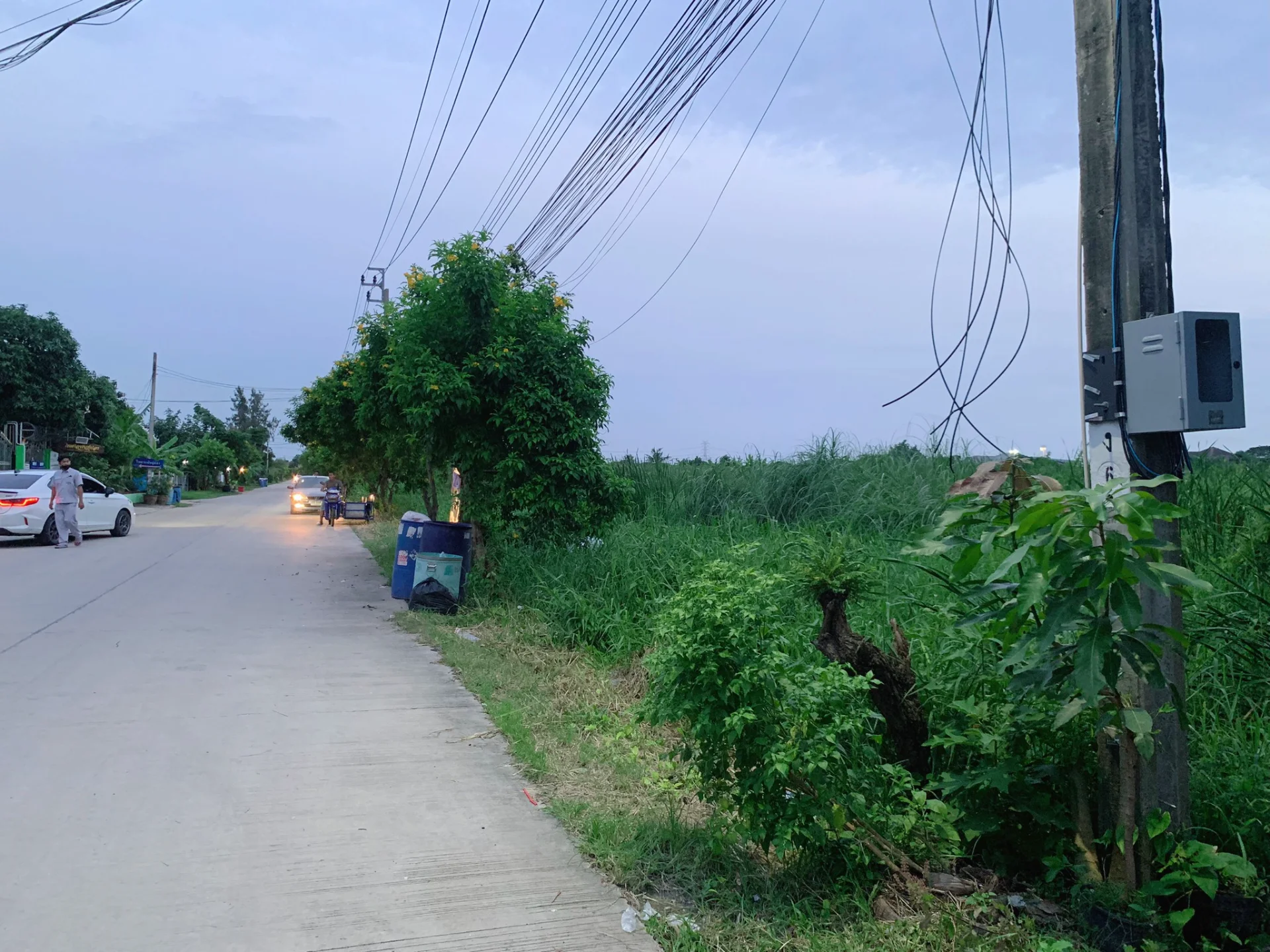ขายที่ดินสวย 219 ตร.วา สุวินทวงศ์36 เหมาะสร้างบ้าน อพาร์ทเม้นท์ เงียบสงบ บรรยากาศดี - image 8