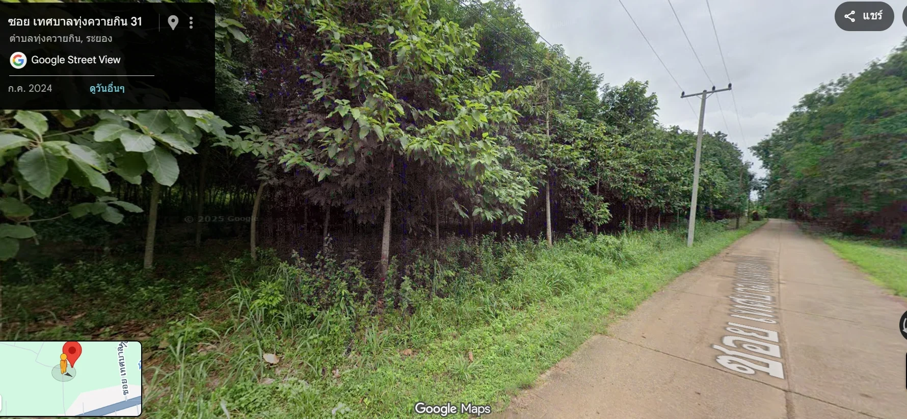 ขายที่ดิน 9ไร่ ติดถนนเทศบาลทุ่งควายกิน31  อำเภอแกลง จังหวัดระยอง ห่างจากถนนสุขุมวิทเพียง 600 เมตร - image 5