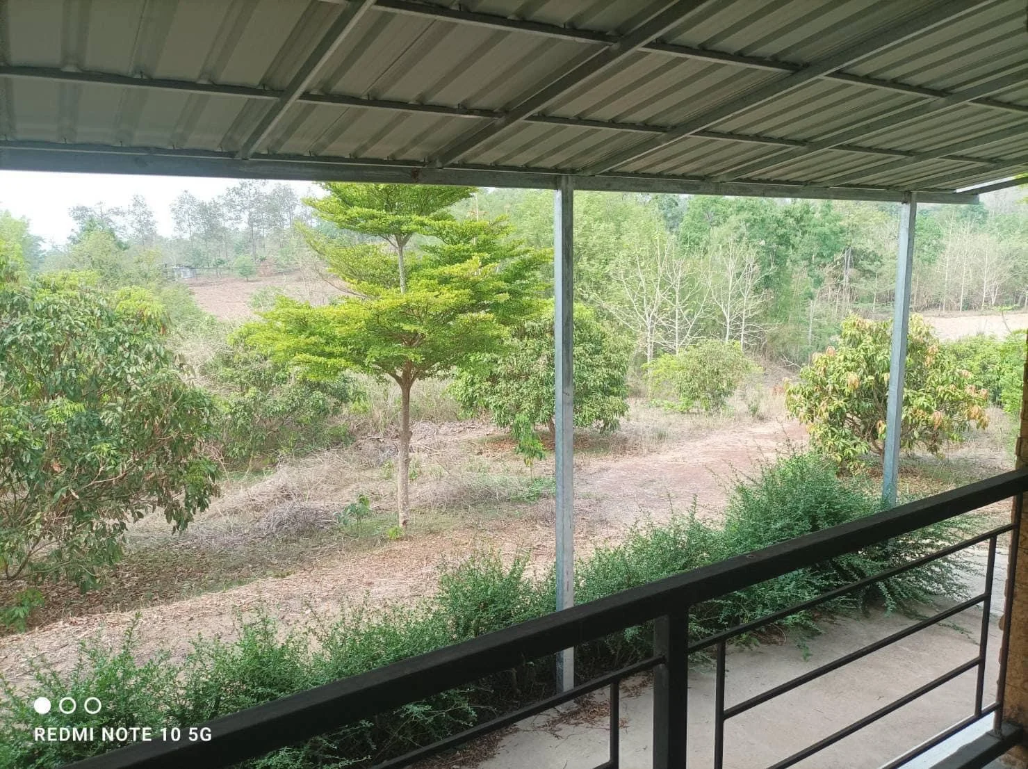 ขายบ้านพร้อมที่ดิน 5 ไร่ จ.น่าน เหมาะทำบ้านสวน บ้านพักตากอากาศ บรรยากาศดี เงียบสงบ ไม่ไกลจากตัวเมือง - image 3