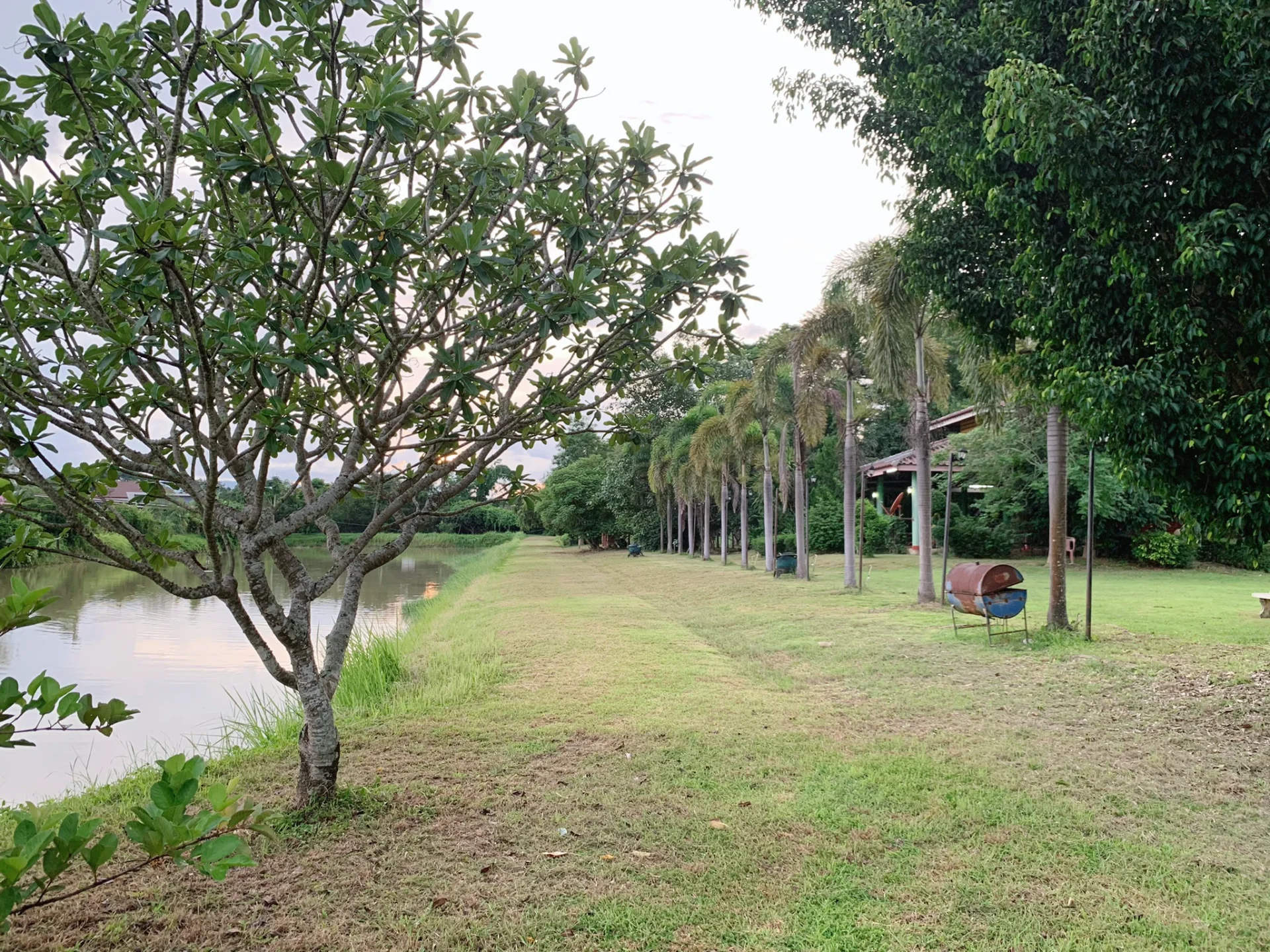 ขายที่ดินสวยพร้อมสิ่งปลูกสร้าง 9 ไร่ จ.น่าน แปลงใหญ่ ใกล้เมือง บรรยากาศดีมากๆ เหมาะสำหรับทำรีสอร์ท บ้านพักตากอากาศ - image 3