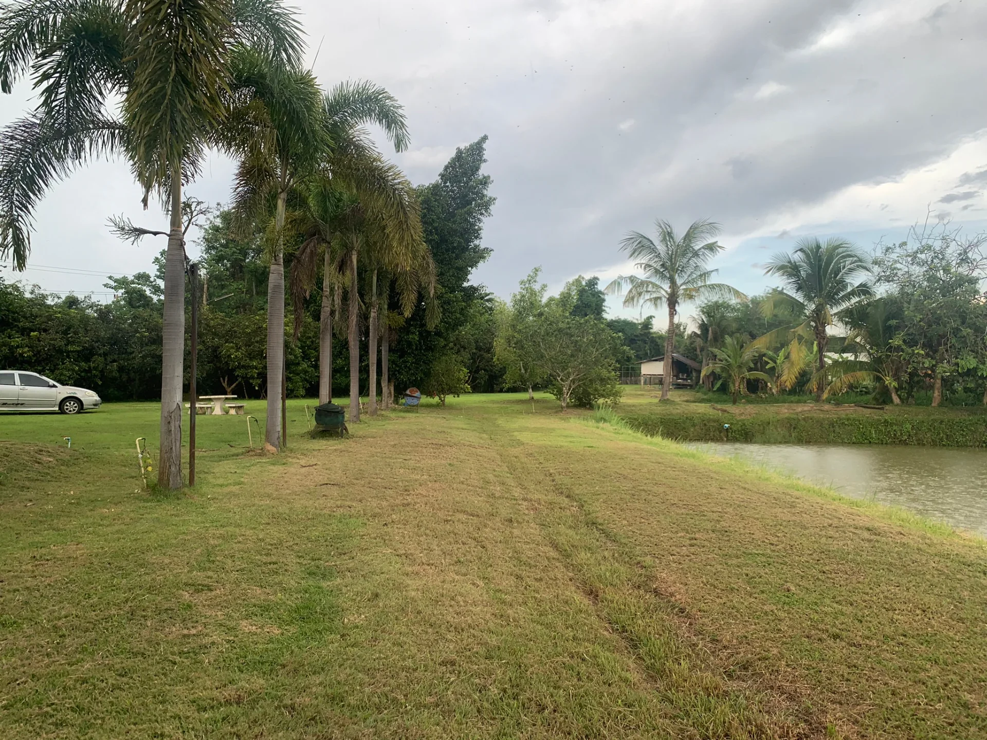 ขายที่ดินสวยพร้อมสิ่งปลูกสร้าง 9 ไร่ จ.น่าน แปลงใหญ่ ใกล้เมือง บรรยากาศดีมากๆ เหมาะสำหรับทำรีสอร์ท บ้านพักตากอากาศ - image 7