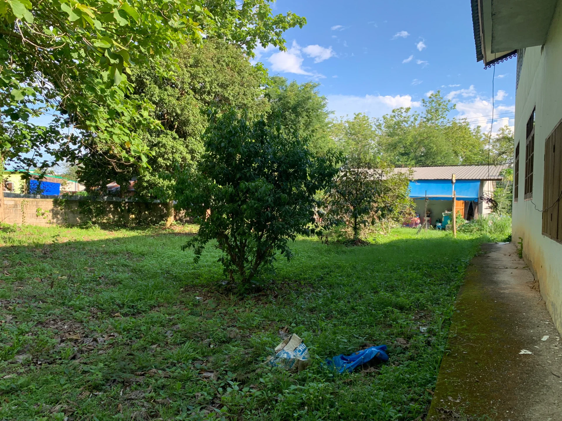 ขายที่ดินพร้อมสิ่งปลูกสร้าง ติดถนนใหญ่ อยู่ในชุมชน ใกล้แหล่งท่องเที่ยวสำคัญ จ.น่าน ทำเลดี ห่างจากวัดศรีมงคล(วัดบ้านก๋ง)  - image 5