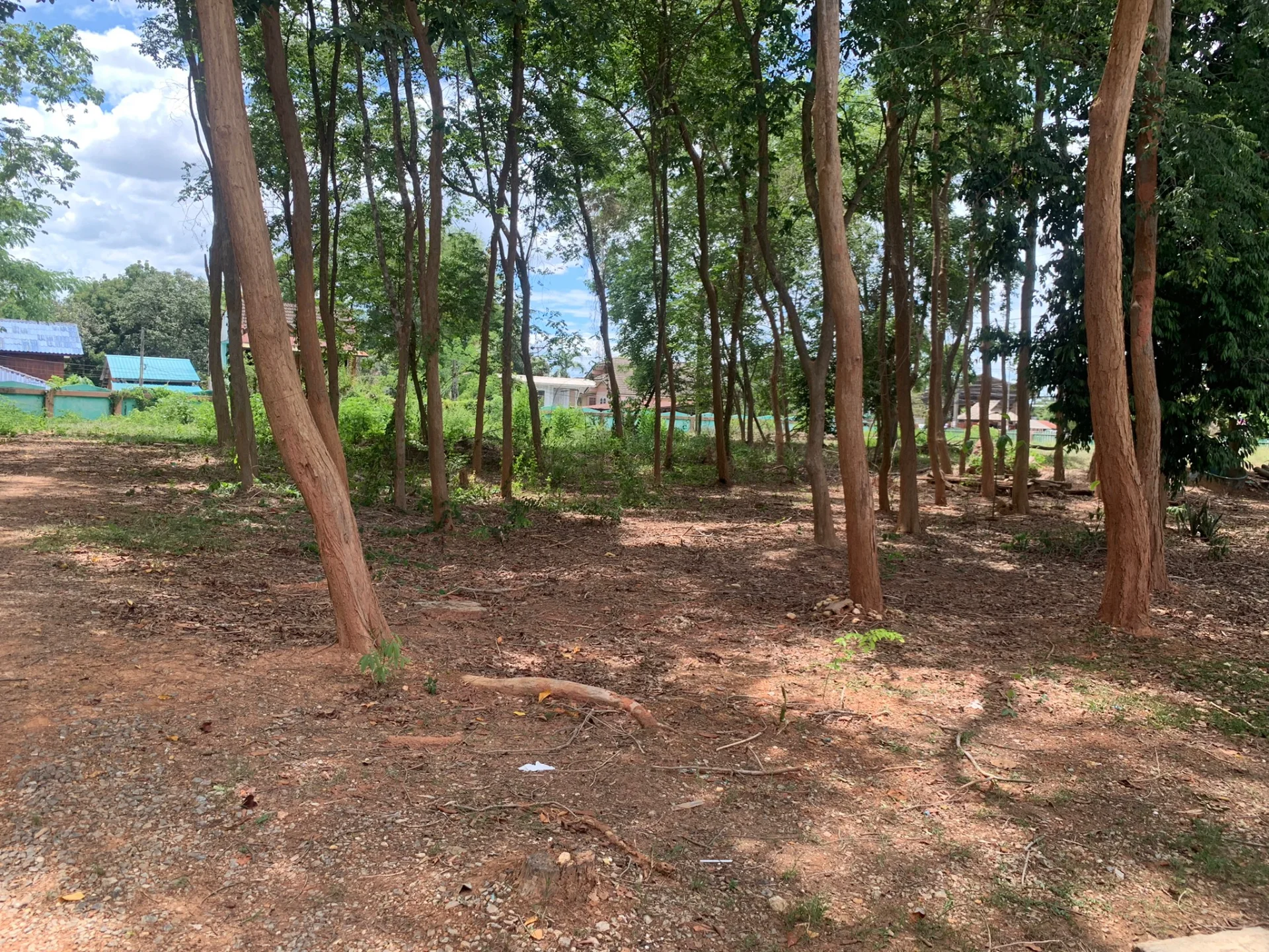 ขายที่ดิน 3 ไร่ ติดถนนสี่เลน ใกล้ Big C น่าน ทำเลดีมากๆ ทำเลนี้หาไม่ได้อีกแล้ว พื้นดินแน่น ถมสูง ล้อมรั้วไว้อย่างดี - image 9