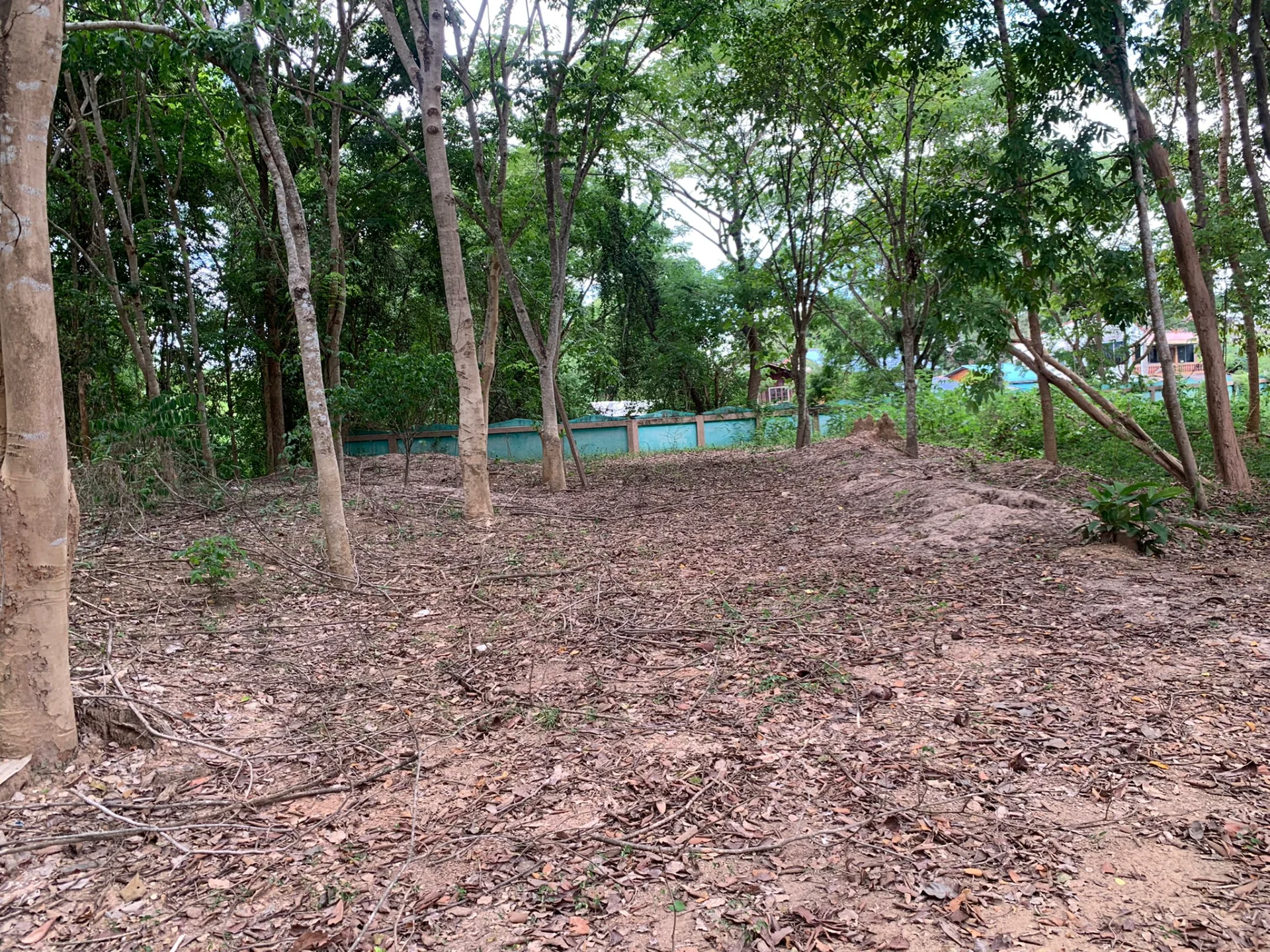 ขายที่ดิน 3 ไร่ ติดถนนสี่เลน ใกล้ Big C น่าน ทำเลดีมากๆ ทำเลนี้หาไม่ได้อีกแล้ว พื้นดินแน่น ถมสูง ล้อมรั้วไว้อย่างดี - image 10