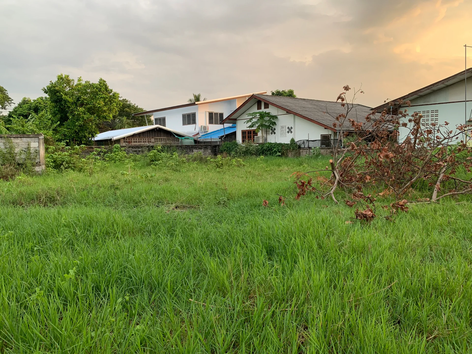 ขายที่ดินเปล่า 102.1 ตร.วา สวนหอม ใกล้เทคนิคน่าน บรรยากาศดี สวย ทางเข้ากว้าง เหมาะสำหรับสร้างบ้าน - image 2