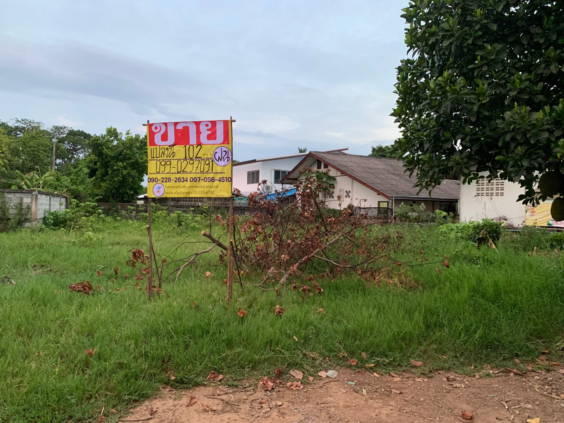 ขายที่ดินเปล่า 102.1 ตร.วา สวนหอม ใกล้เทคนิคน่าน บรรยากาศดี สวย ทางเข้ากว้าง เหมาะสำหรับสร้างบ้าน