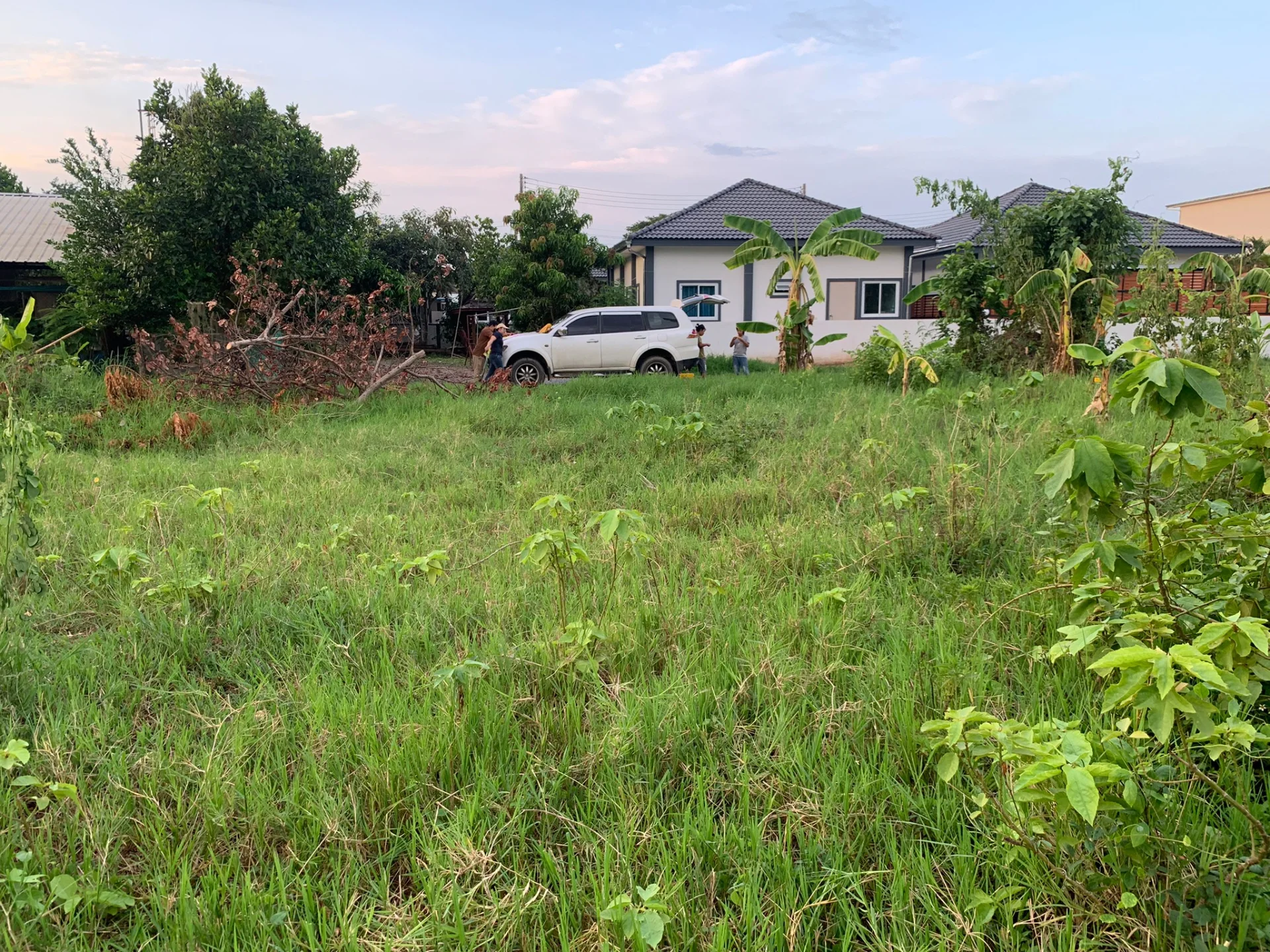 ขายที่ดินเปล่า 102.1 ตร.วา สวนหอม ใกล้เทคนิคน่าน บรรยากาศดี สวย ทางเข้ากว้าง เหมาะสำหรับสร้างบ้าน - image 8