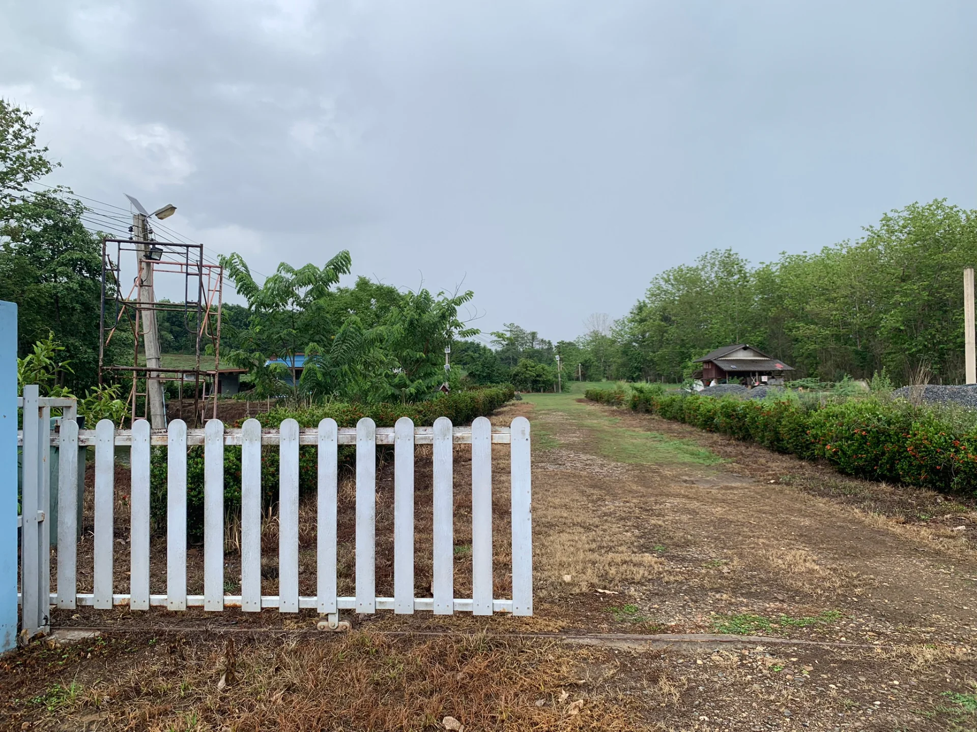 ขายที่ดิน 6 ไร่ พร้อมบ้านพัก 5 หลัง อยู่ติดถนนใหญ่ ใกล้ชุมชน ใกล้แหล่งท่องเที่ยวสำคัญ จ.น่าน ใกล้วัดศรีมงคล(วัดบ้านก๋ง) - image 8