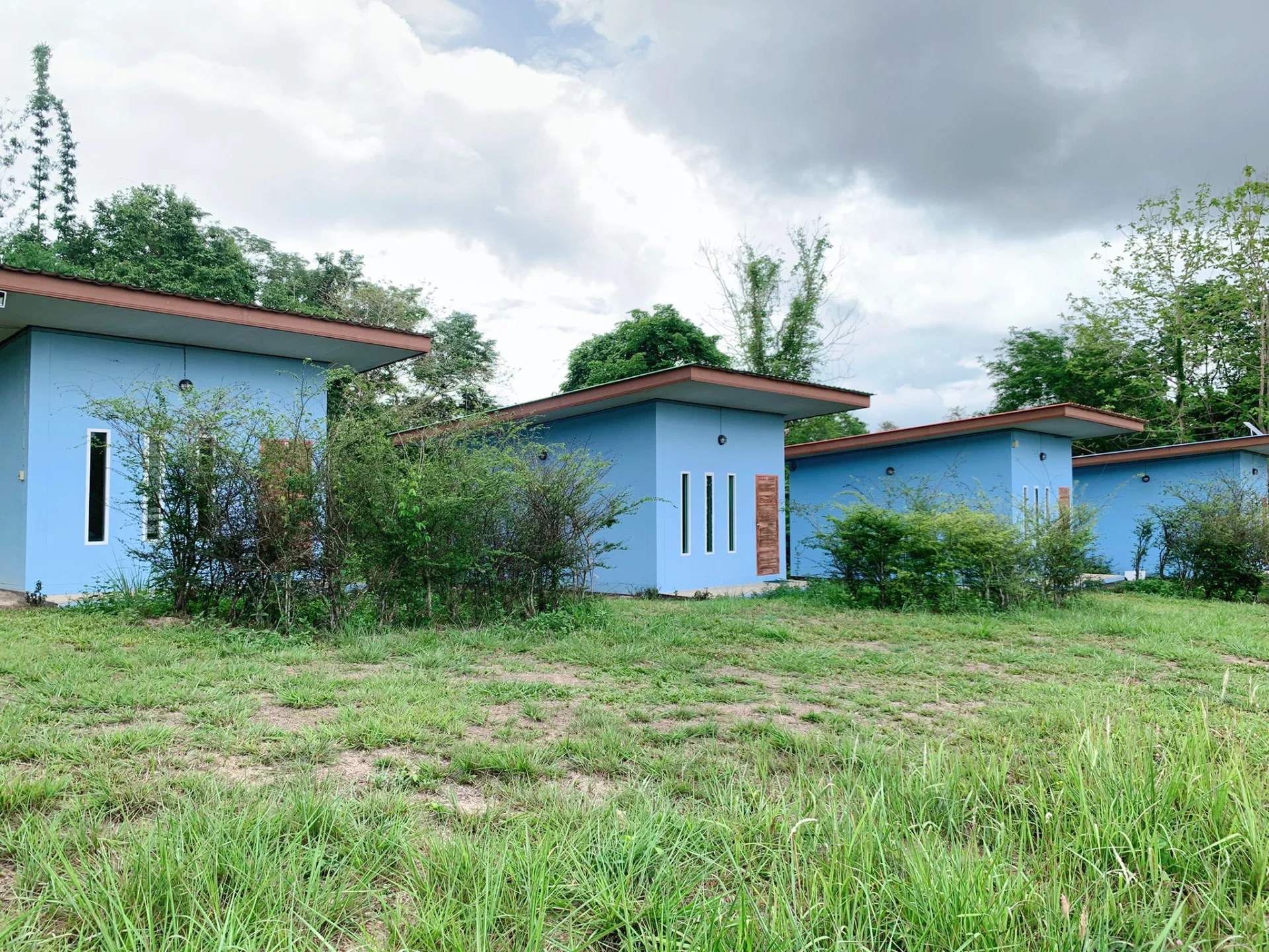 ขายที่ดิน 6 ไร่ พร้อมบ้านพัก 5 หลัง อยู่ติดถนนใหญ่ ใกล้ชุมชน ใกล้แหล่งท่องเที่ยวสำคัญ จ.น่าน ใกล้วัดศรีมงคล(วัดบ้านก๋ง) - image 4