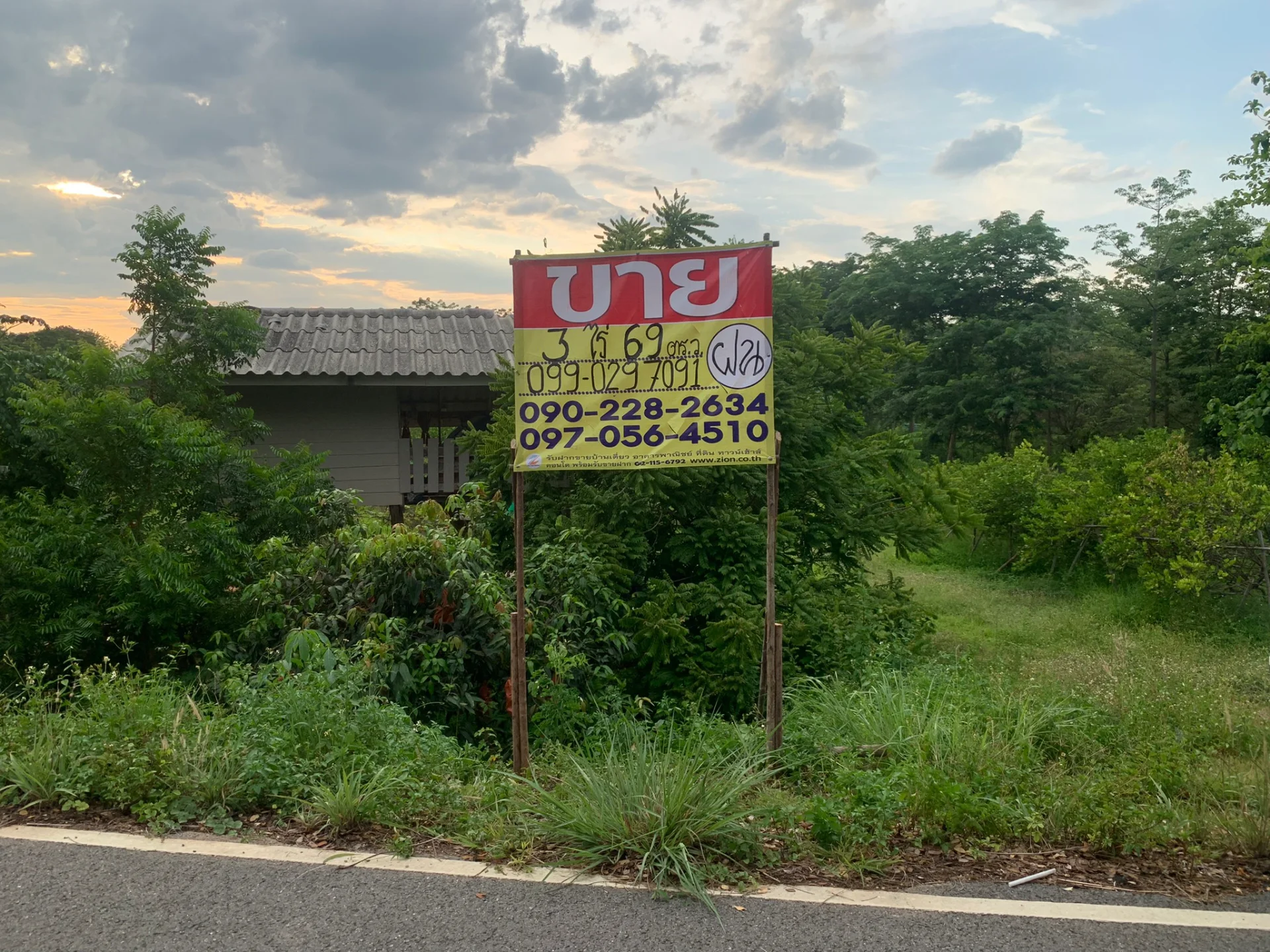 ขายสวนมะนาวสวนผสม 3 ไร่ เวียงสา จ.น่าน เหมาะทำบ้านสวนหรือเกษตรเชิงท่องเที่ยว - image 2