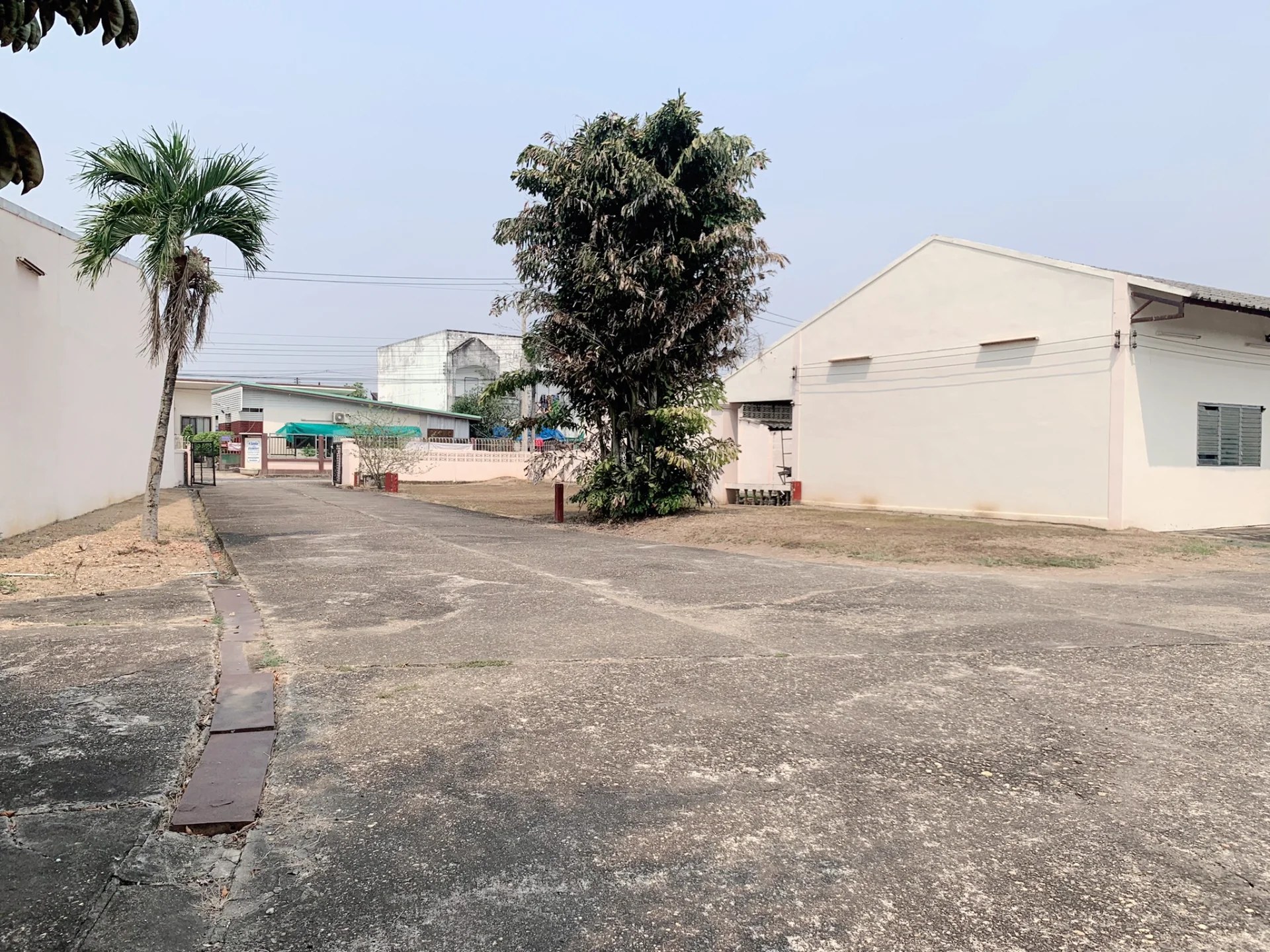 ขายที่ดินพร้อมสิ่งปลูกสร้าง 12 ไร่ หน้าวัดเจดีย์ ดู่ใต้ จ.น่าน ที่สวย ทำเลดี ราคาถูก - image 7