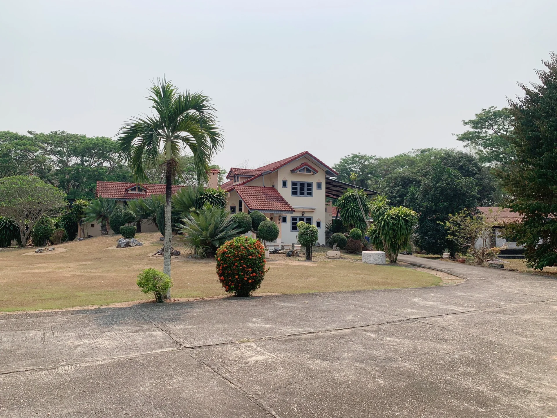 ขายที่ดินพร้อมสิ่งปลูกสร้าง 12 ไร่ หน้าวัดเจดีย์ ดู่ใต้ จ.น่าน ที่สวย ทำเลดี ราคาถูก - image 5