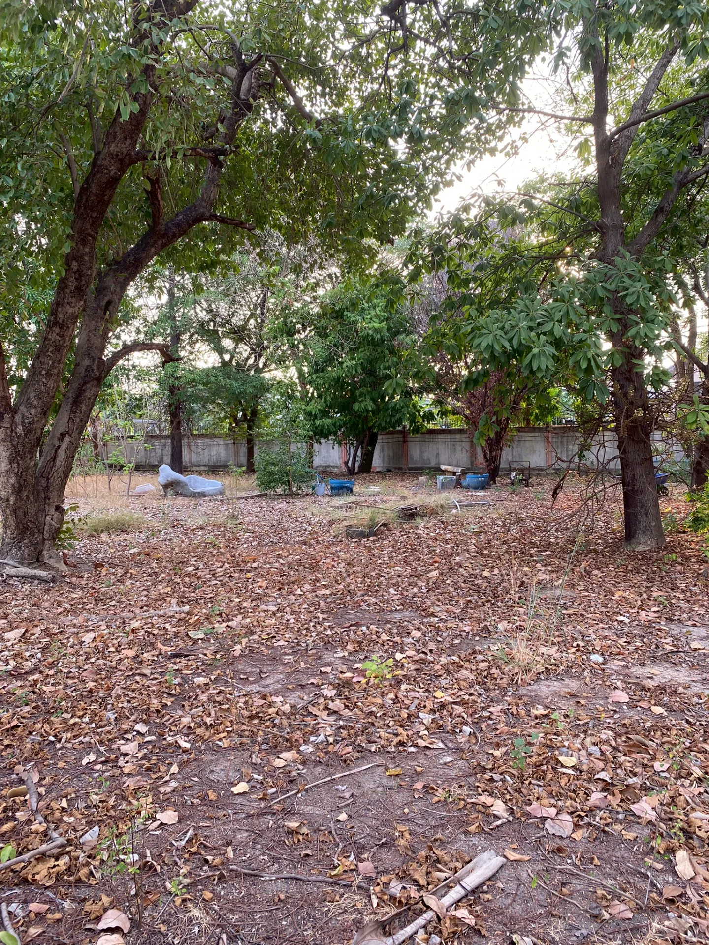 ขายที่ดินพร้อมสิ่งปลูกสร้าง เนื้อที่ 1-2-83 ไร่ ทำเลส่วนตัว  ติดถนนเฉลิมพระเกียรติ ร.9 ซอย62   ประเวศ  ZY241 - image 5