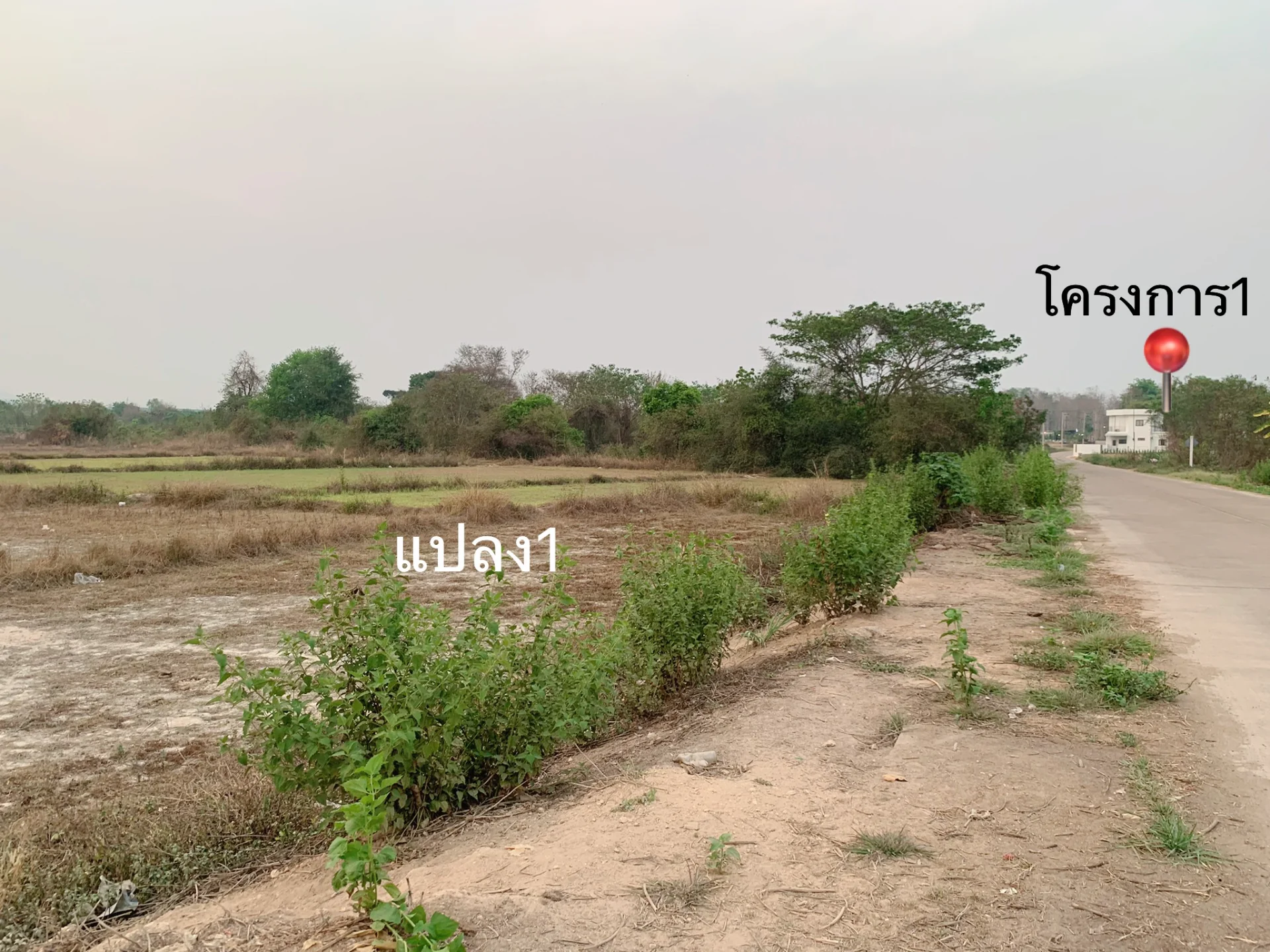ขายที่ดิน เมืองใหม่เฟส 2 จ.น่าน เนื้อที่ 10 ไร่ อยู่ติดโครงการ 1 ยกแปลง 3 แปลงตรงข้ามกันระหว่าง 4 แยก - image 7
