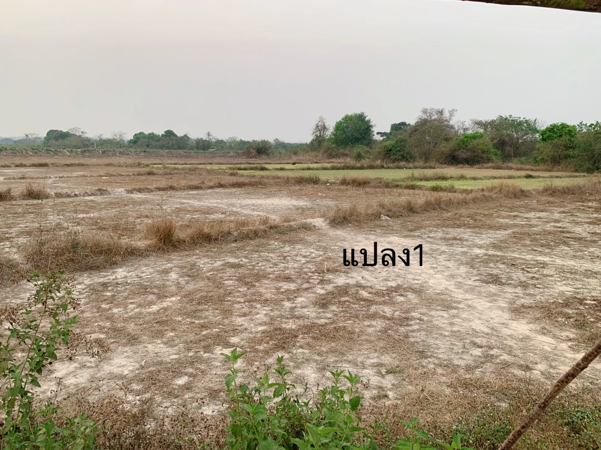 ขายที่ดิน เมืองใหม่เฟส 2 จ.น่าน เนื้อที่ 10 ไร่ อยู่ติดโครงการ 1 ยกแปลง 3 แปลงตรงข้ามกันระหว่าง 4 แยก - image 8