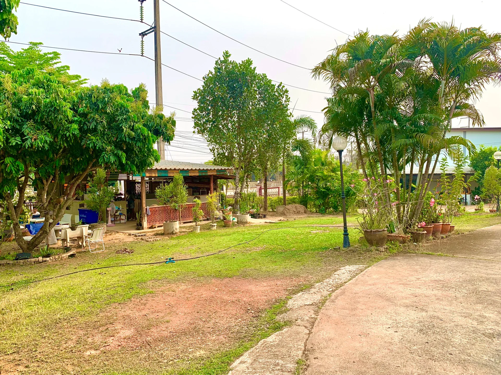 ขายบ้านพร้อมที่ดินเกือบ 3 ไร่ ติดถนน อยู่ใกล้เมืองน่าน 4 ห้องนอน 2 ห้องน้ำ - image 4