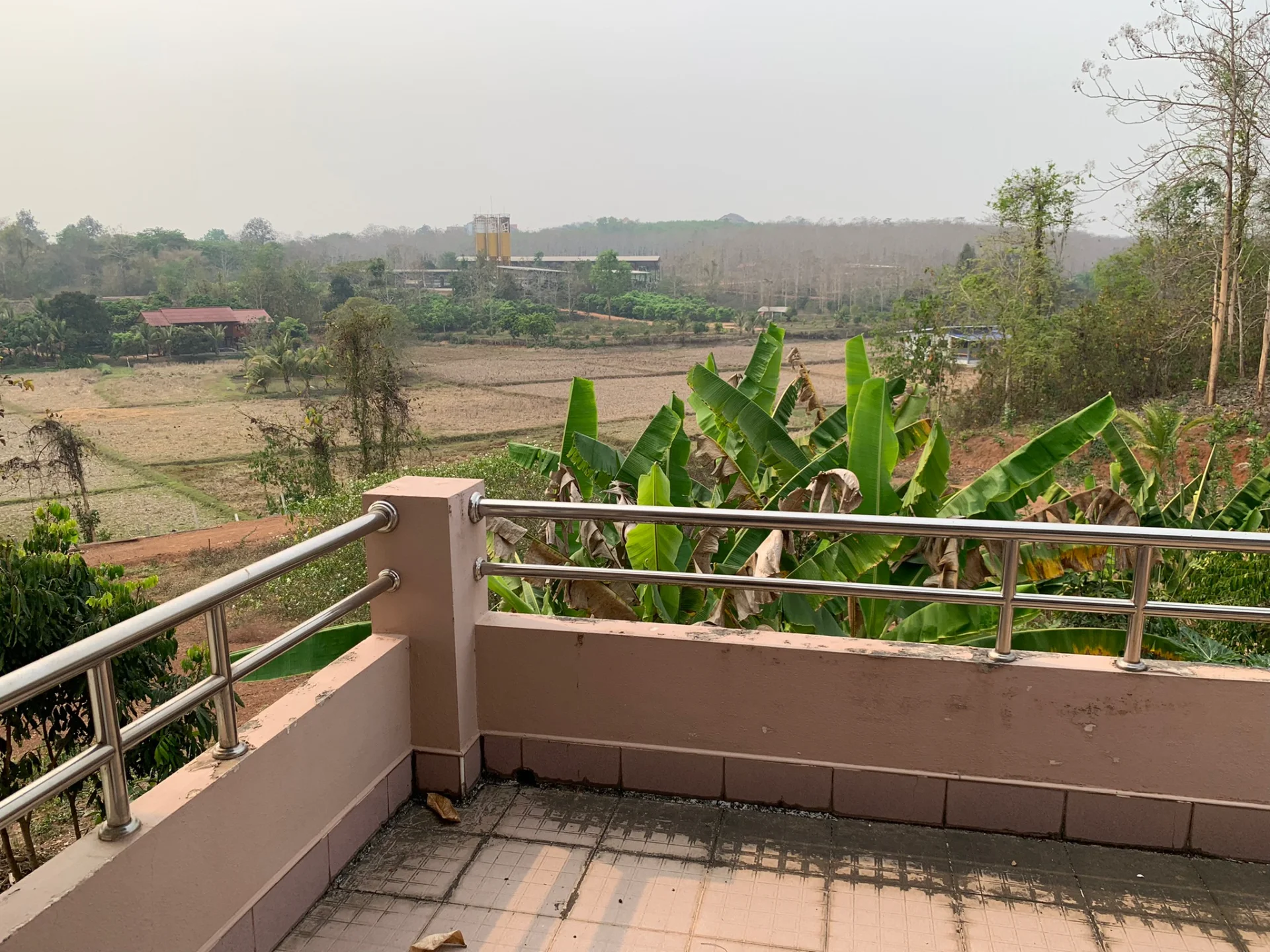 ขายบ้านพร้อมที่ดินเกือบ 3 ไร่ ติดถนน อยู่ใกล้เมืองน่าน 4 ห้องนอน 2 ห้องน้ำ - image 8