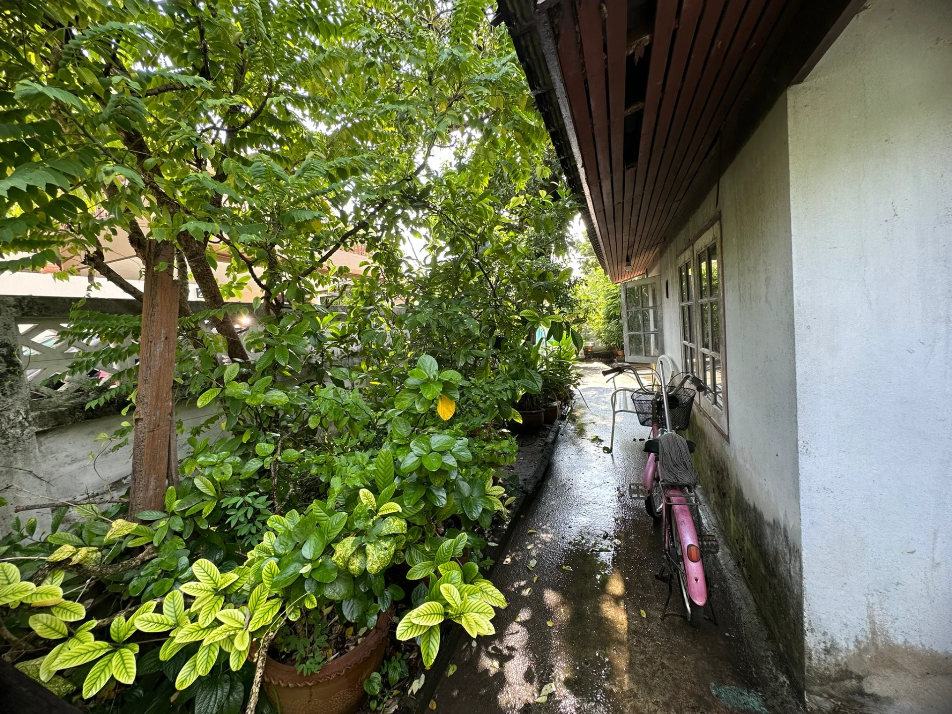 ขายบ้านเดี่ยว 99 วา หมู่บ้านมิตรภาพ3 ศรีนครินทร์ ซ.38 ตรงข้ามซีคอนสแควร์ ศรีนครินทร์ ZY224 - image 2