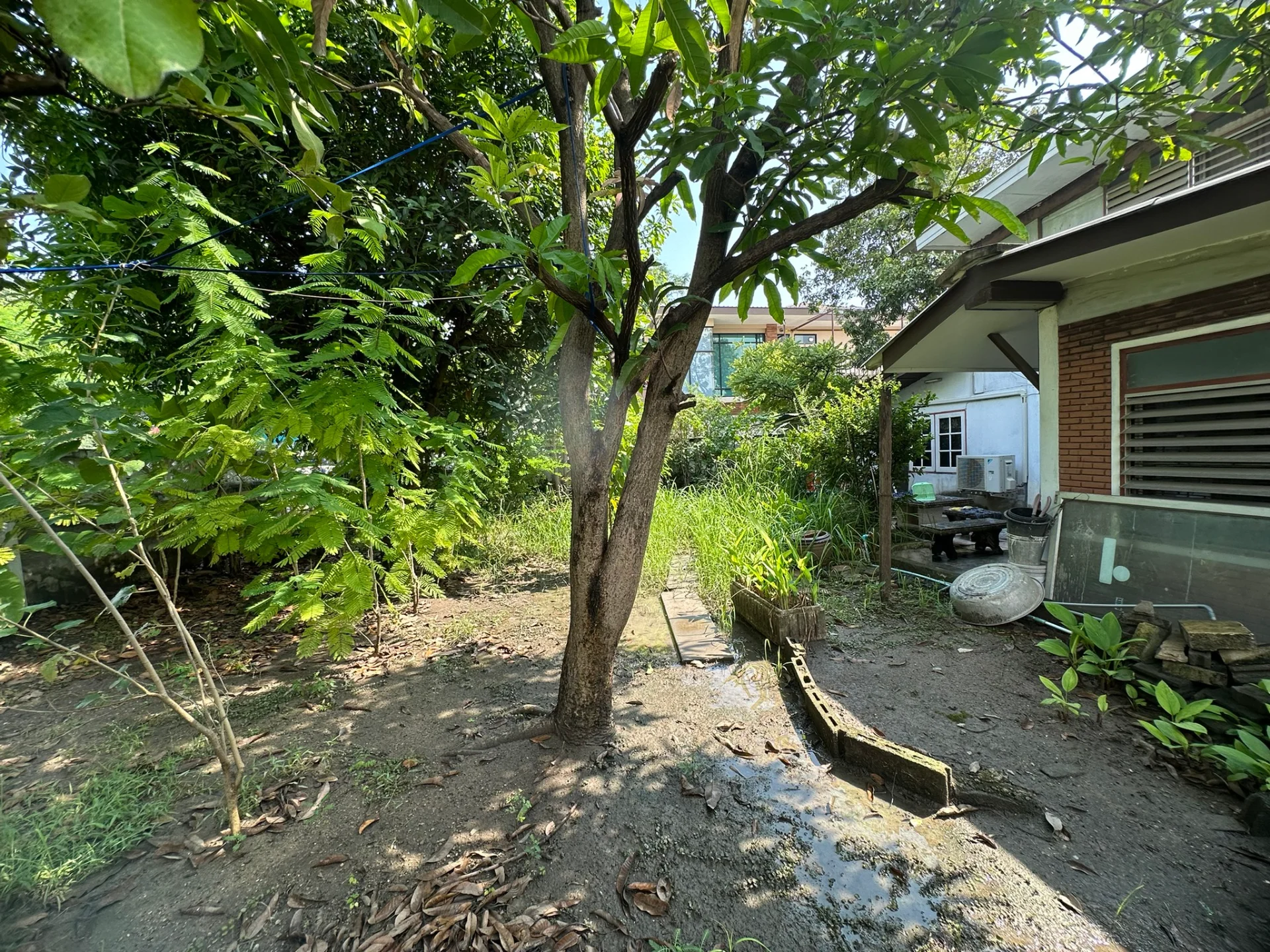 ขายบ้านเดี่ยว 99 วา หมู่บ้านมิตรภาพ3 ศรีนครินทร์ ซ.38 ตรงข้ามซีคอนสแควร์ ศรีนครินทร์ ZY224 - image 5