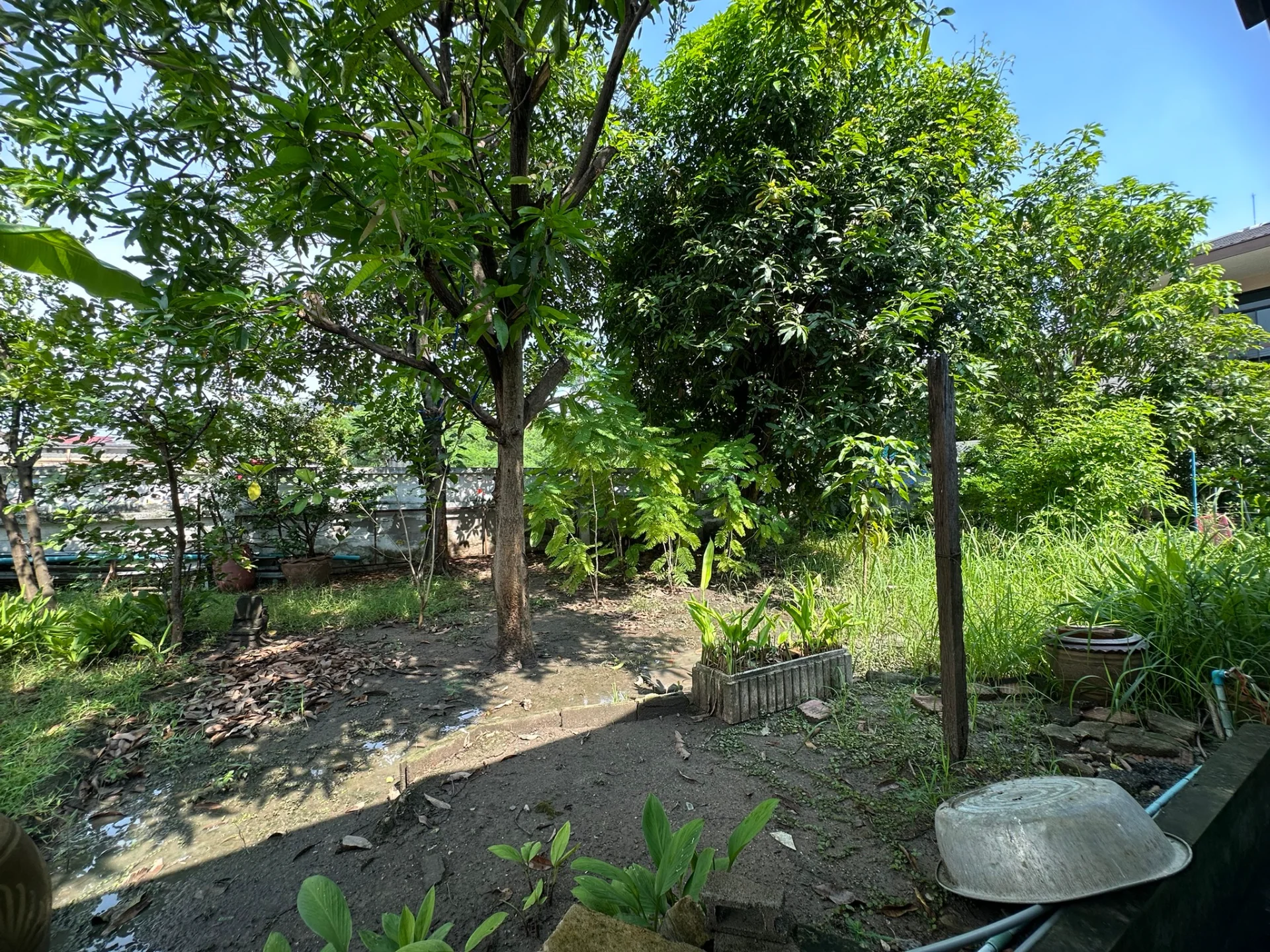 ขายบ้านเดี่ยว 99 วา หมู่บ้านมิตรภาพ3 ศรีนครินทร์ ซ.38 ตรงข้ามซีคอนสแควร์ ศรีนครินทร์ ZY224 - image 7