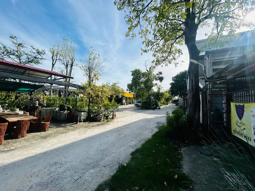 ให้เช่าพื้นที่หน้าร้าน สำหรับค้าขาย ขนาด 3 ม. x 11 ม. สุขุมวิท 107 ติดถนนแบริ่งลาซาลตัดใหม่ ใกล้กับลาซาลอเวนิว - image 9