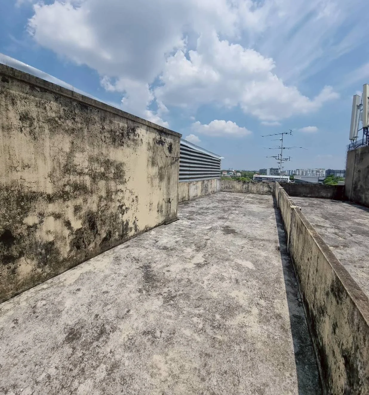 ขายตึก อาคารพาณิชย์ 2 คูหา 47 ตารางวา ติดถนนใหญ่ ซอยรามคำแหง 80 – ทำเลทองเพื่อธุรกิจและการลงทุน! - image 4