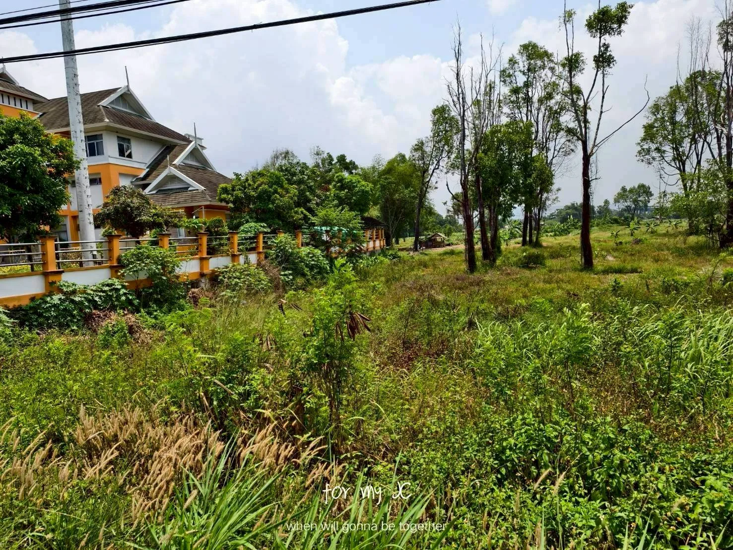 ขายที่ดินแปลงใหญ่ 42-0-75 ไร่ ใกล้สำนักงานเทศบาลตำบลบ้านนา ติดถนนหาดใหญ่–ปัตตานี - image 3