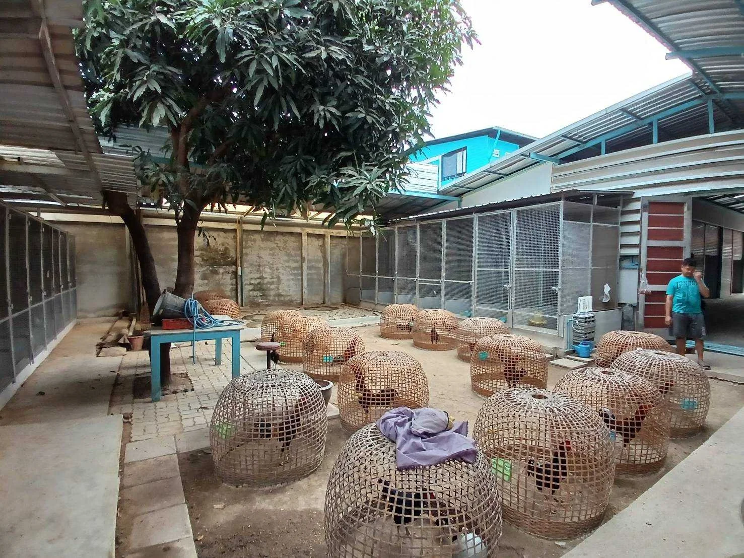 ขายที่ดินสวย พร้อมสิ่งปลูกสร้าง 174 ตารางวา ราคา 18 ลบ. เหมาะทำอพาร์ทเม้น หอพัก ซอยเพชรเกษม 58 แยก 10  - image 5