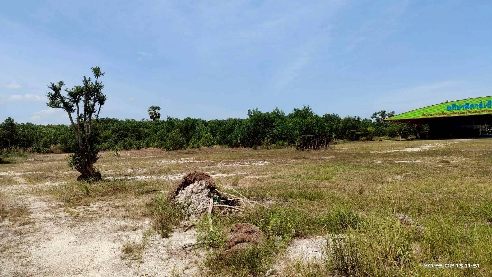 ขายที่ดินแปลงใหญ่ 22-1-48 ไร่ โอกาสทำเลทอง ถนนสายสงขลา-นาทวี   - image 4