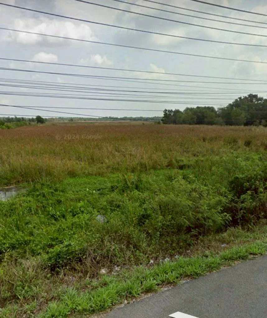 ขายที่ดินทำเลทอง ตรงข้ามสถานีไฟฟ้าจะนะ จ.สงขลา เนื้อที่ 62 ไร่ - image 3