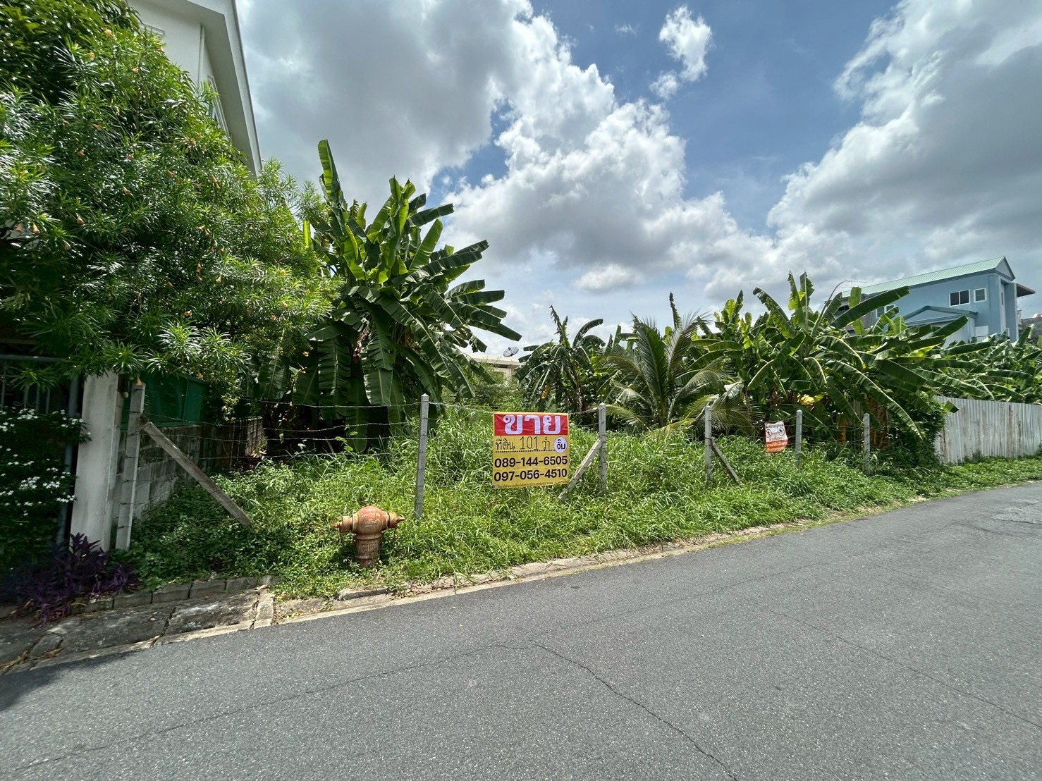 ขายด่วน ที่ดิน 101 ตารางวา ซอยลาดพร้าว 124แยก1