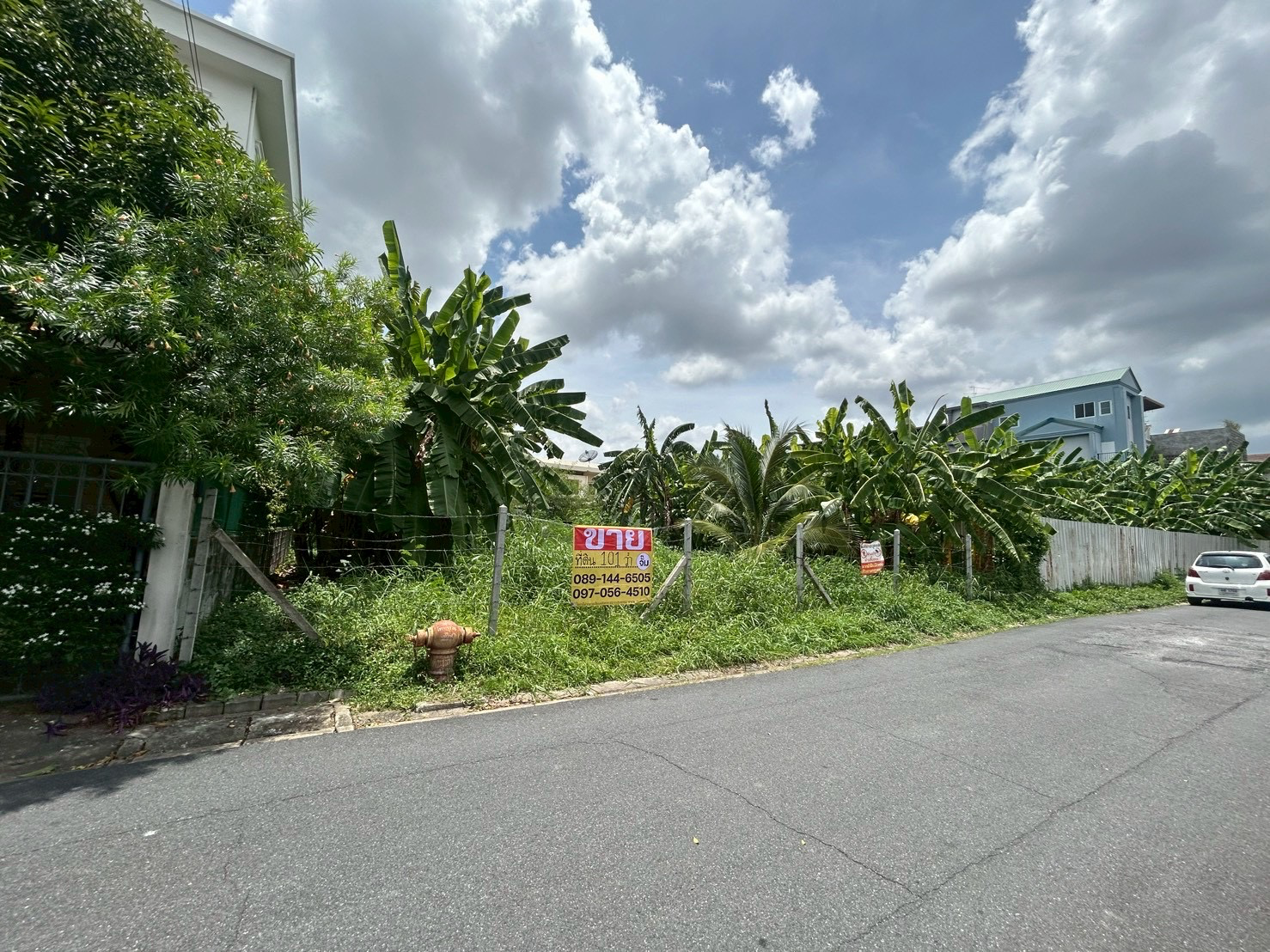 ขายด่วน ที่ดิน 101 ตารางวา ซอยลาดพร้าว 124แยก1 - image 2