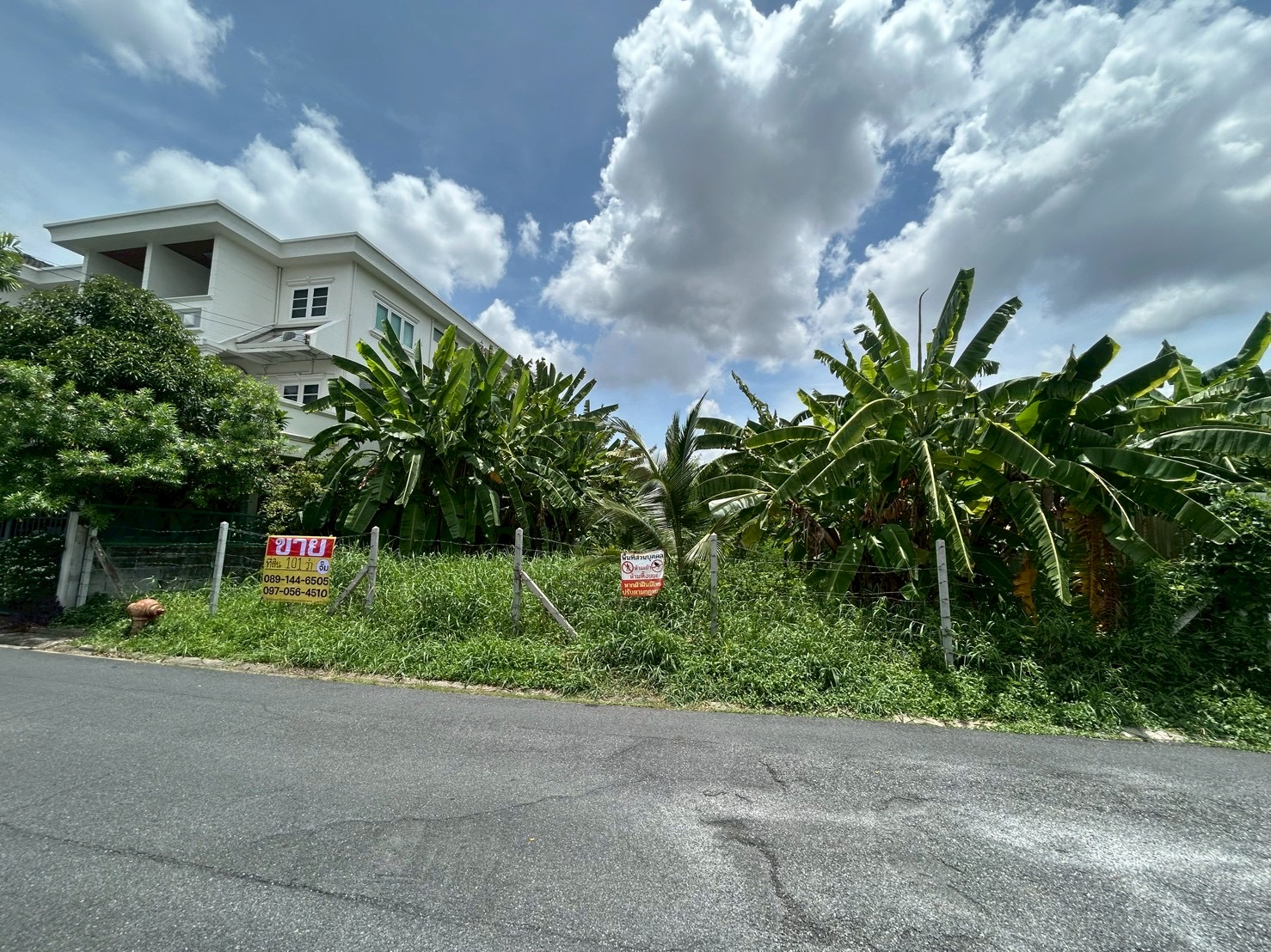 ขายด่วน ที่ดิน 101 ตารางวา ซอยลาดพร้าว 124แยก1 - image 3