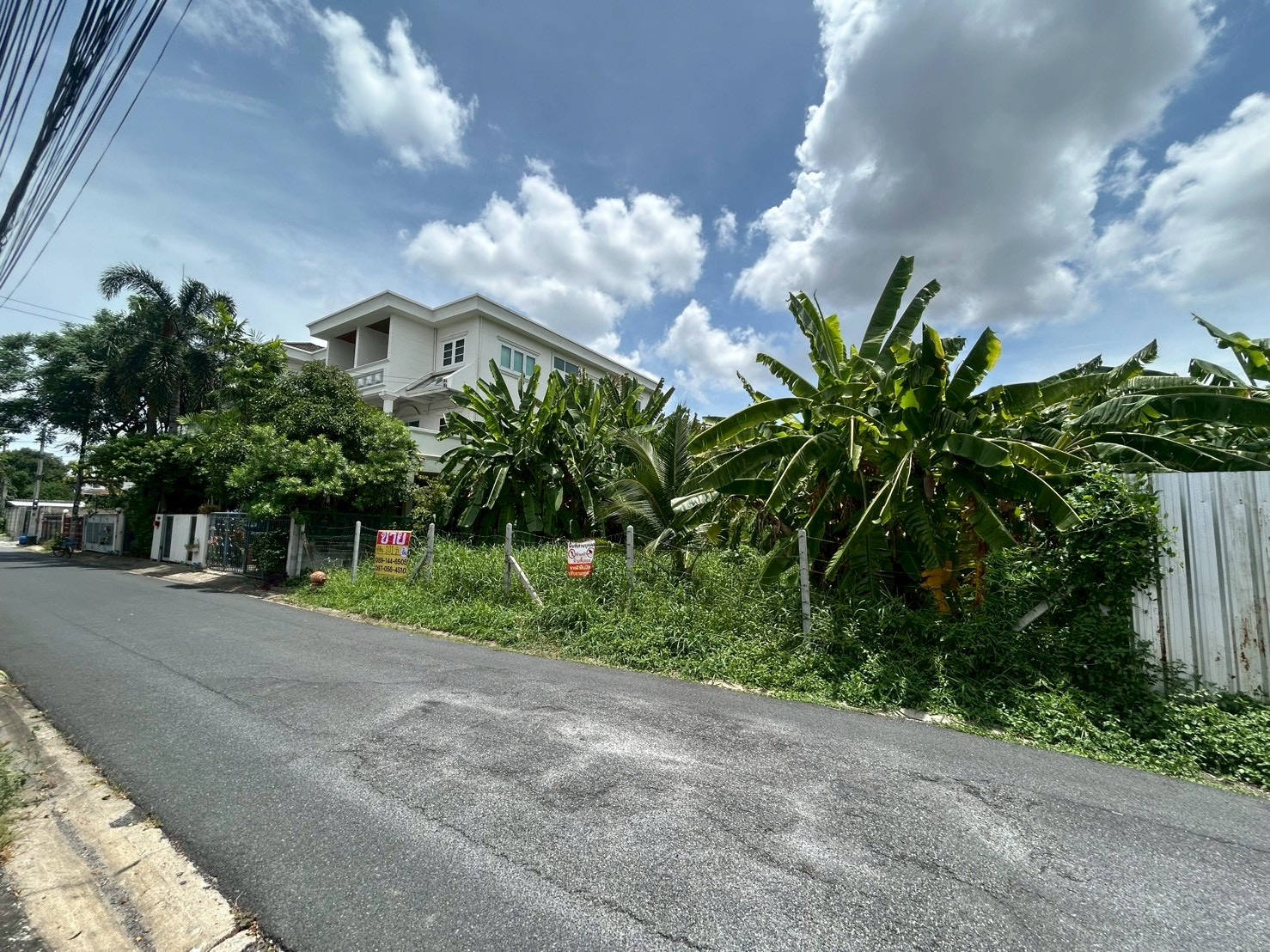 ขายด่วน ที่ดิน 101 ตารางวา ซอยลาดพร้าว 124แยก1 - image 4