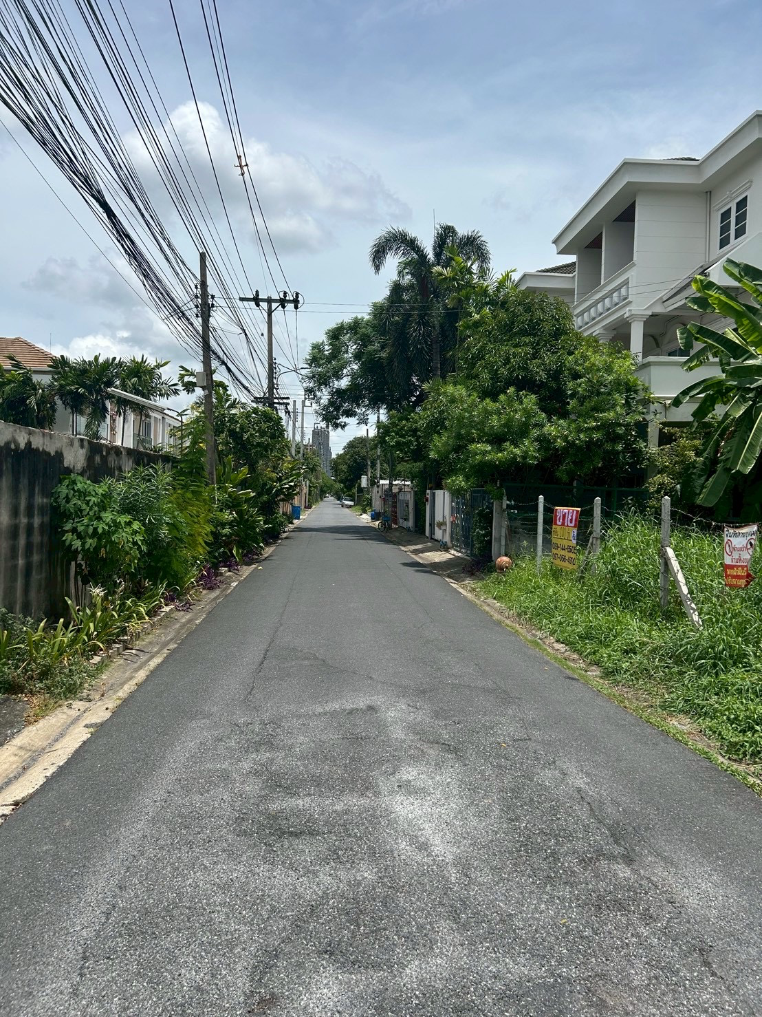 ขายด่วน ที่ดิน 101 ตารางวา ซอยลาดพร้าว 124แยก1 - image 5