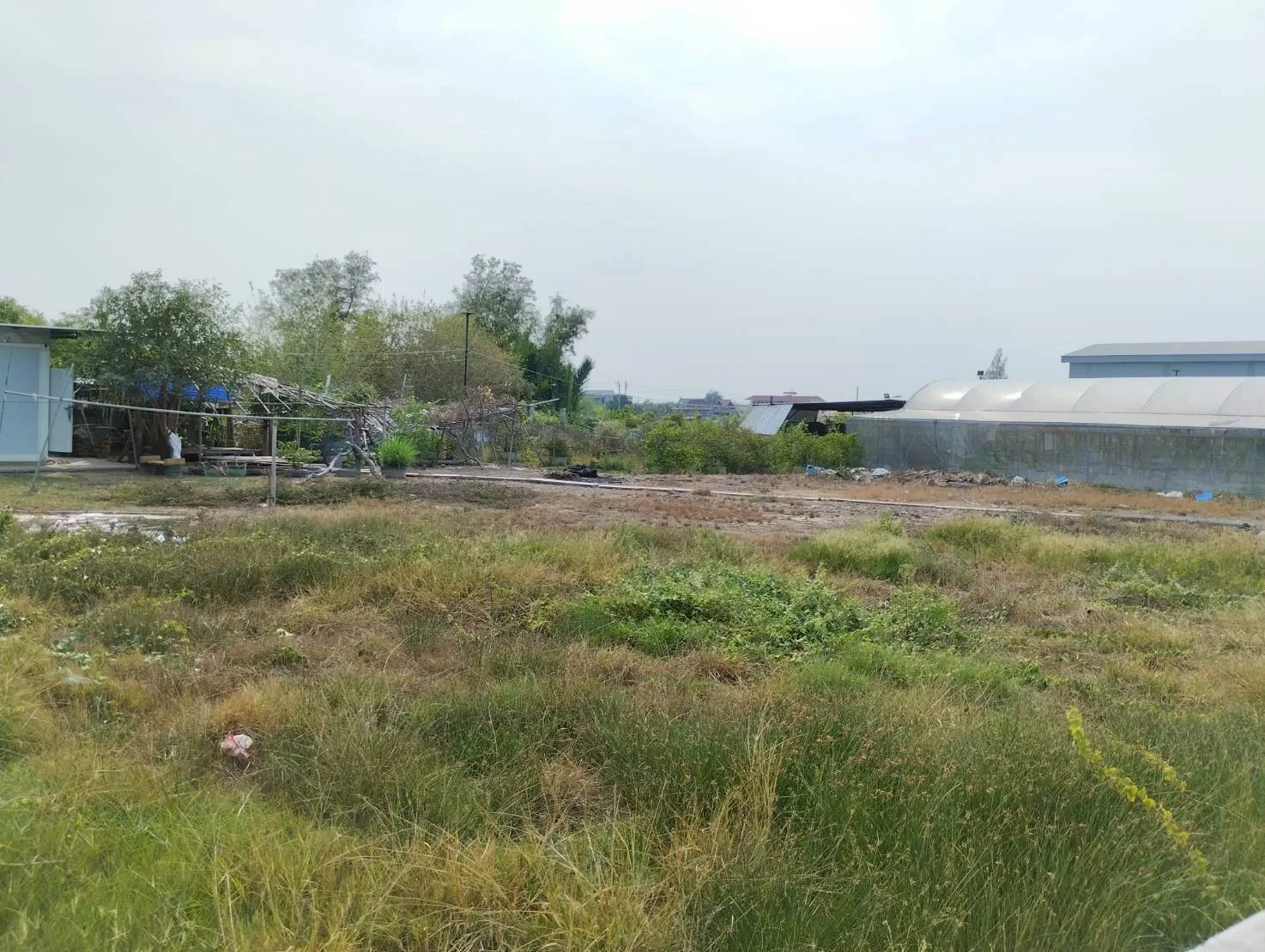 ✨ขาย/เช่า ที่ดินถมแล้วแปลงสวย ขนาด 2 ไร่ 1 งาน 48 ตารางวา พื้นที่สีม่วง เหมาะสร้างโกดังหรือโรงงาน - image 4