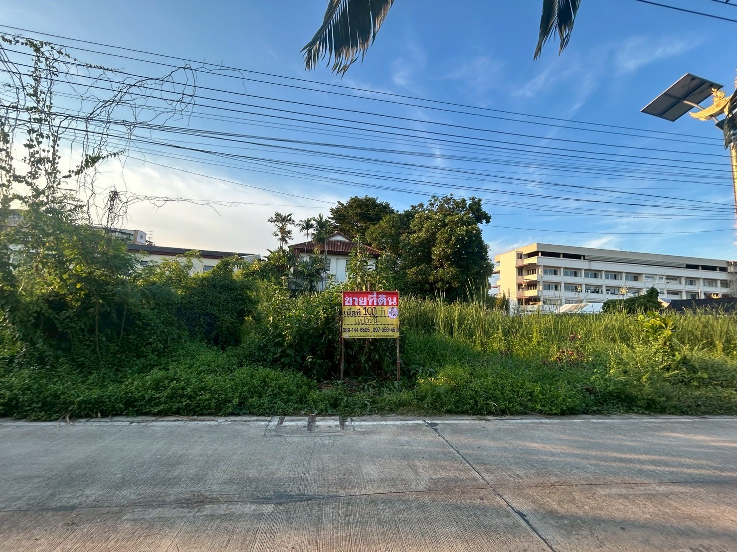 ขายด่วน ที่ดิน 100 ตารางวา ซอยลาดกระบัง14/1 ราชา11 ราชาเทวะ