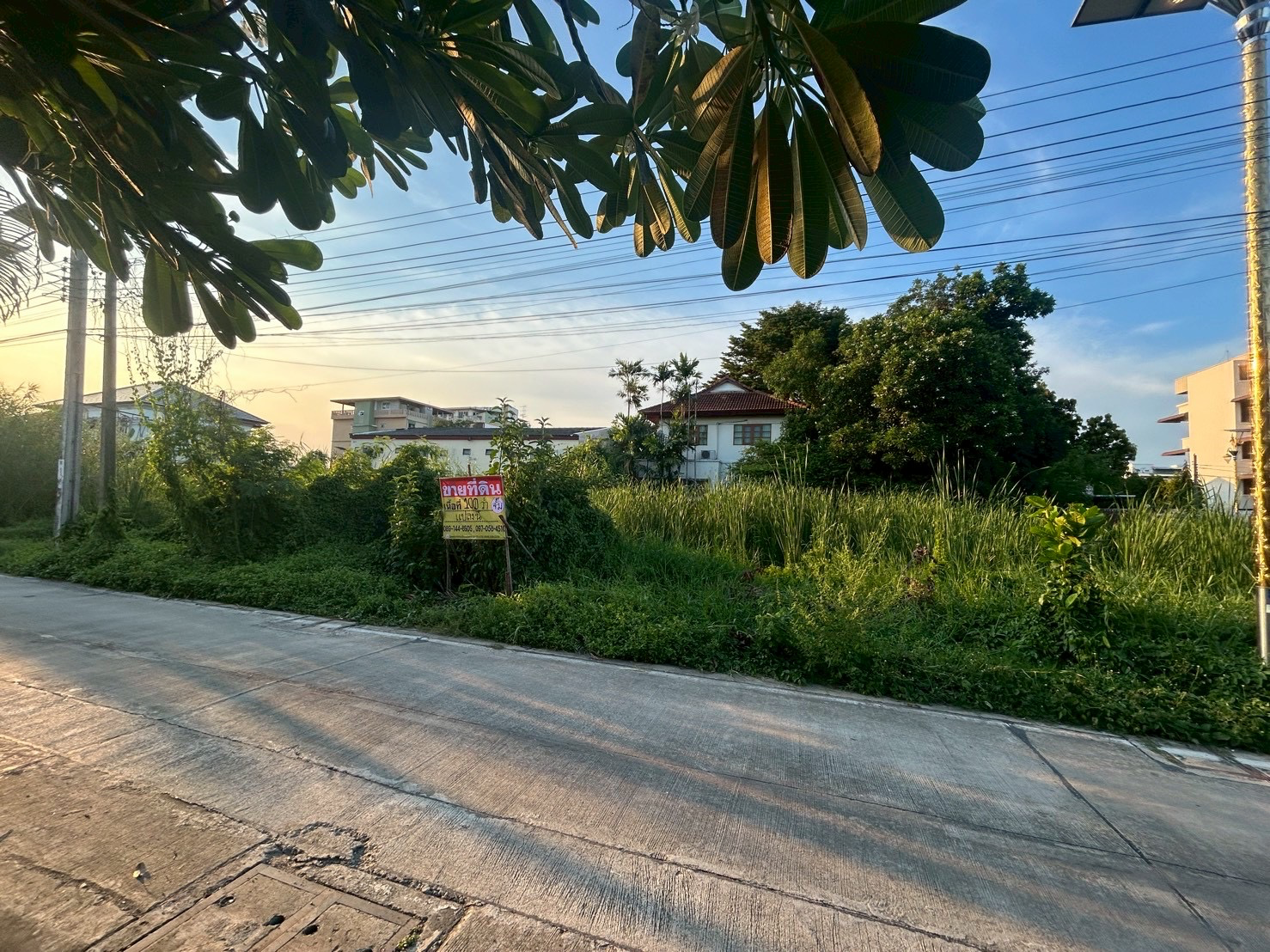 ขายด่วน ที่ดิน 100 ตารางวา ซอยลาดกระบัง14/1 ราชา11 ราชาเทวะ - image 2