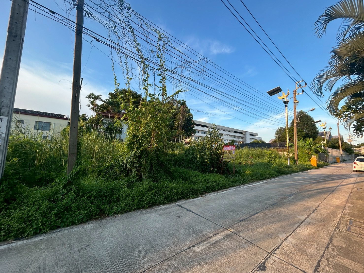 ขายด่วน ที่ดิน 100 ตารางวา ซอยลาดกระบัง14/1 ราชา11 ราชาเทวะ - image 3