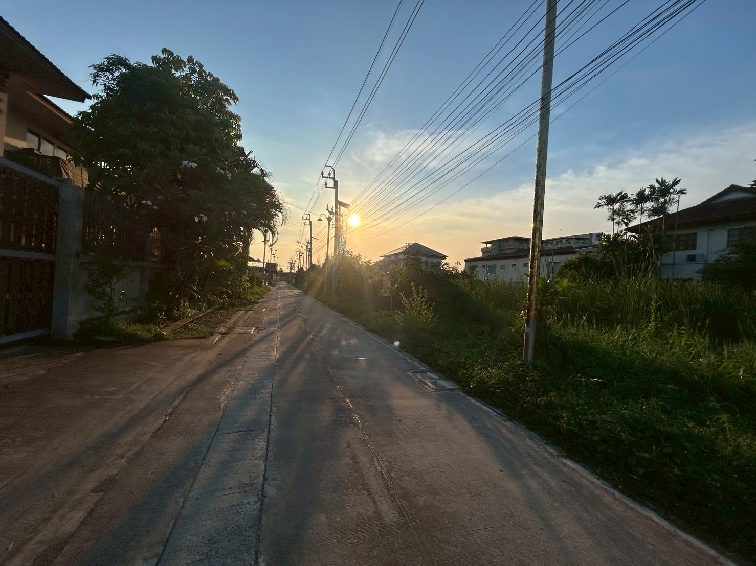 ขายด่วน ที่ดิน 100 ตารางวา ซอยลาดกระบัง14/1 ราชา11 ราชาเทวะ - image 6