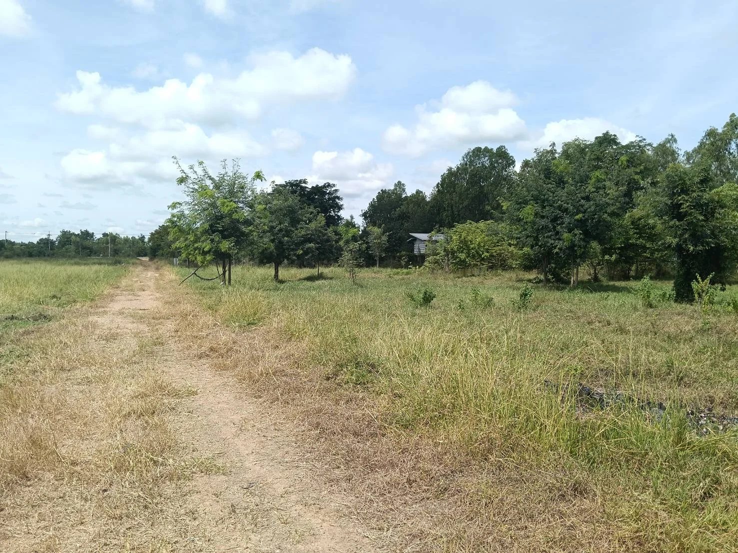 ที่ดินเปล่าทำเลดี ใกล้รีสอร์ท ต.พระนอน จ.นครสวรรค์ พื้นที่ 3 ไร่ กว้าง 252 ม. ลึก 58 ม. - image 2