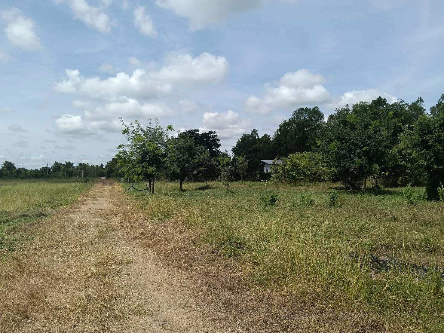 ที่ดินเปล่าทำเลดี ใกล้รีสอร์ท ต.พระนอน จ.นครสวรรค์ พื้นที่ 3 ไร่ กว้าง 252 ม. ลึก 58 ม. - image 3