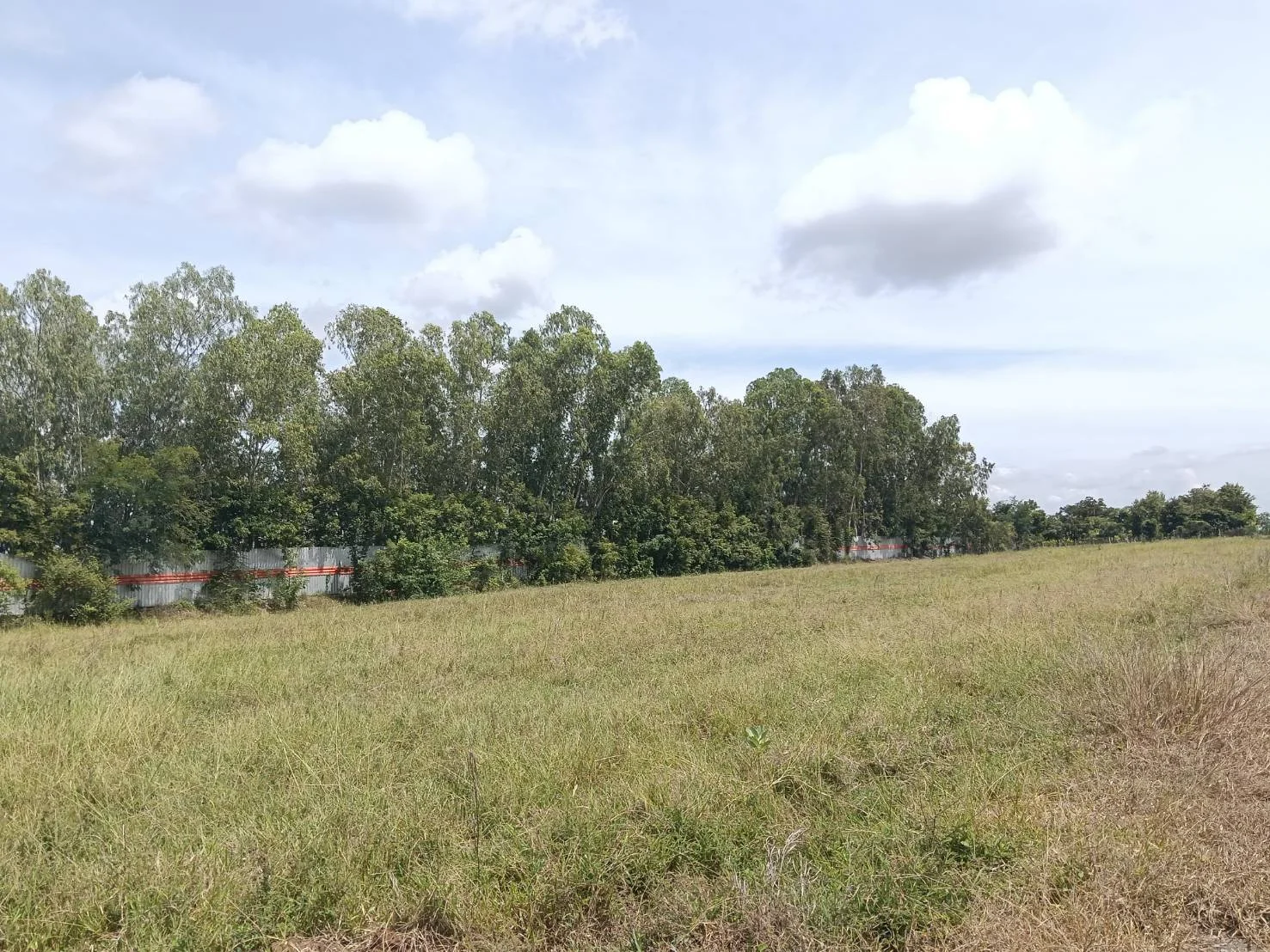 ที่ดินเปล่าทำเลดี ใกล้รีสอร์ท ต.พระนอน จ.นครสวรรค์ พื้นที่ 3 ไร่ กว้าง 252 ม. ลึก 58 ม. - image 6