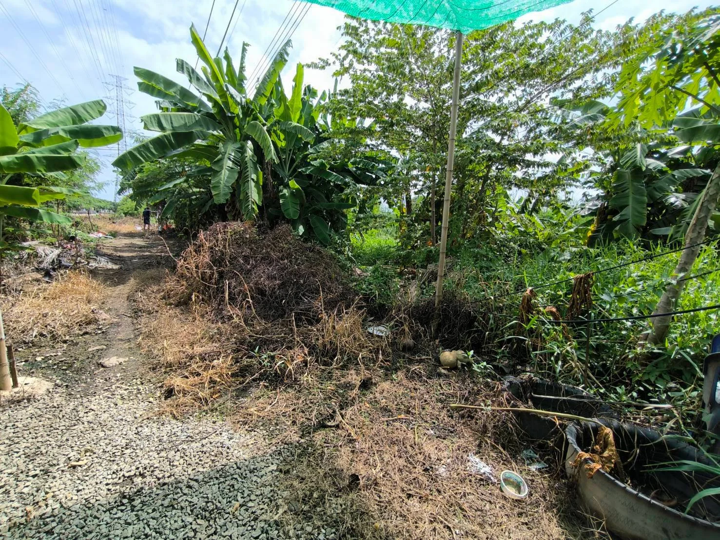 ขายที่ดิน 267 ตร.ว. สวนหลวง ซอย 15 กระทุ่มแบน - image 3