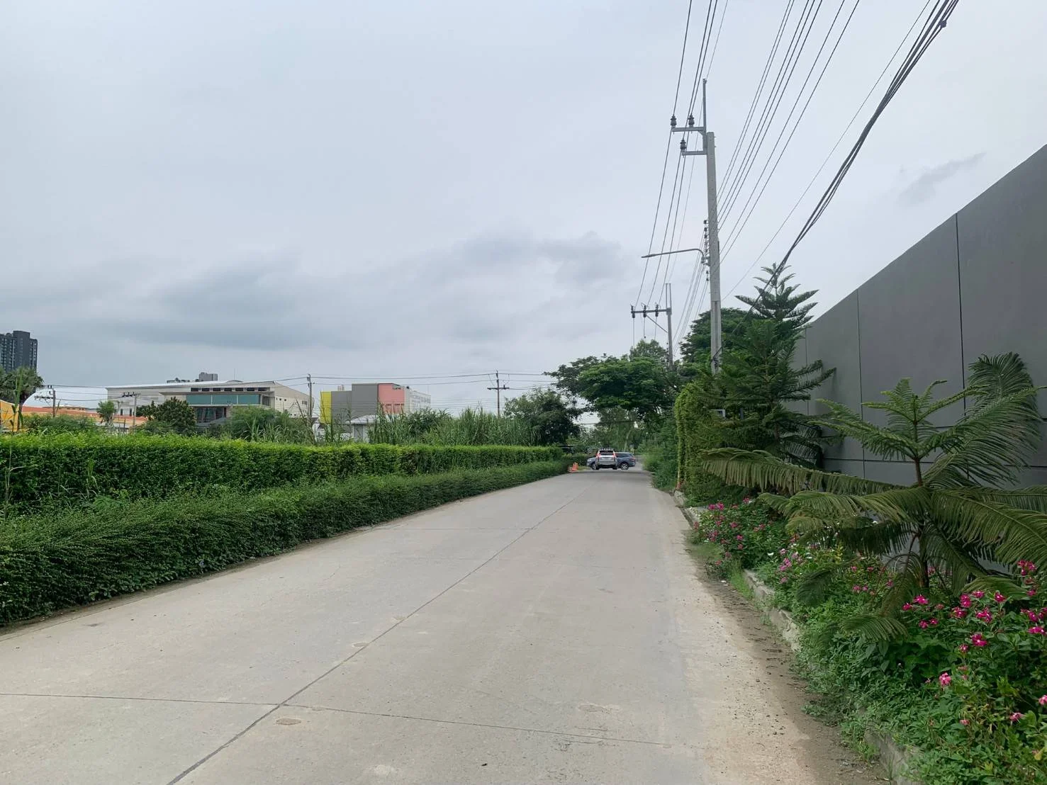 ขายที่ดินบางแก้ว บางนา กม.7 สวยมากๆ ทำเลดี 189 ตร.วา ใกล้เมกาบางนา รูปแปลงสี่เหลี่ยมสวย - image 3